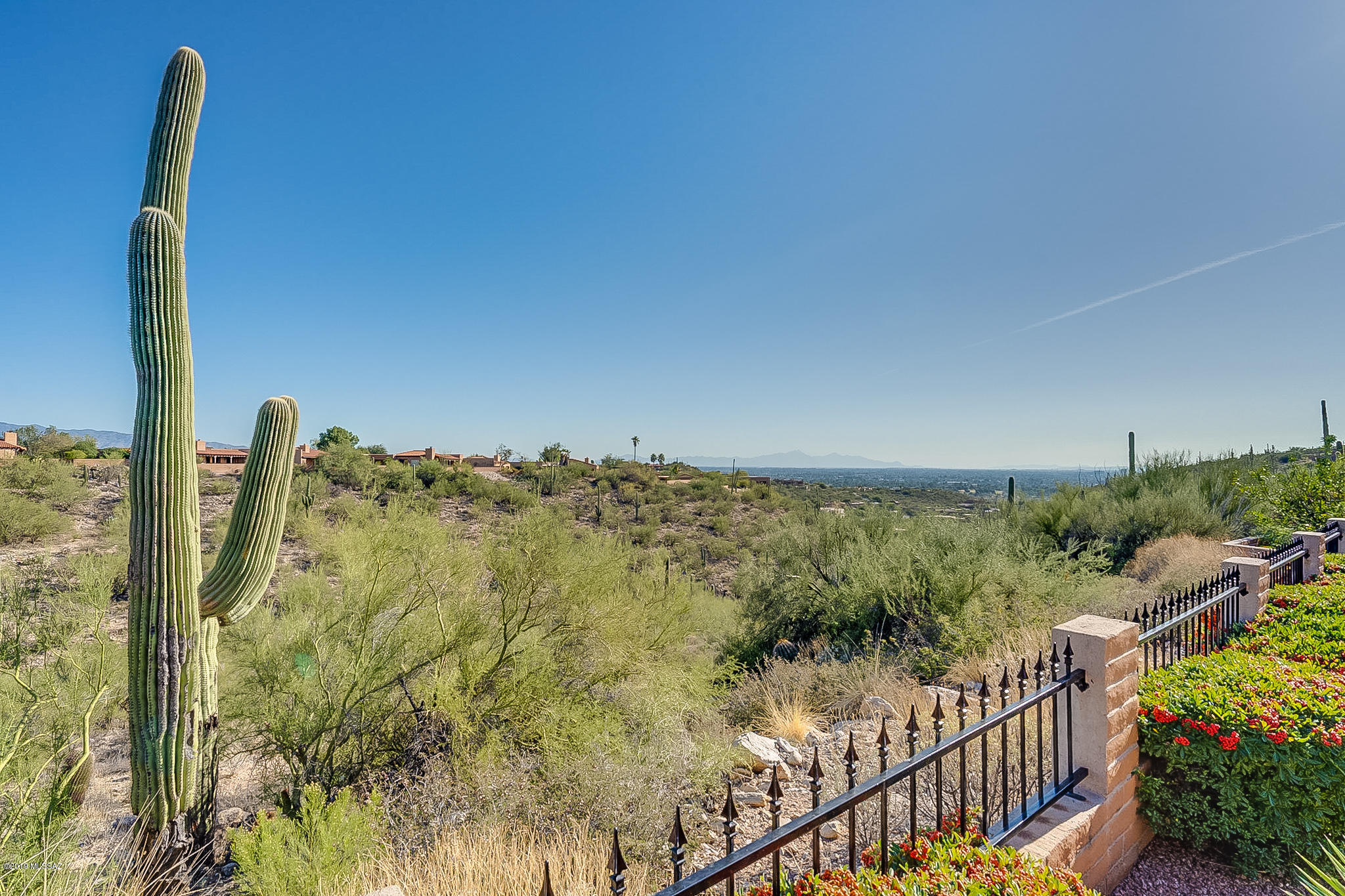 4390 N Camino De Carrillo