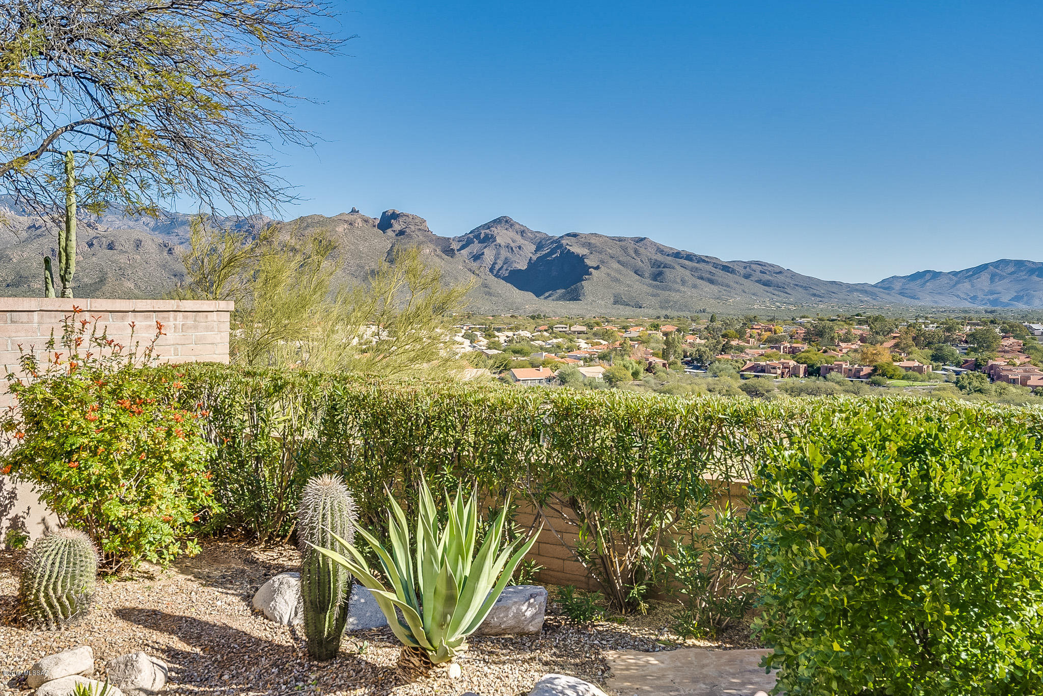 5002 N Bonita Ridge Avenue