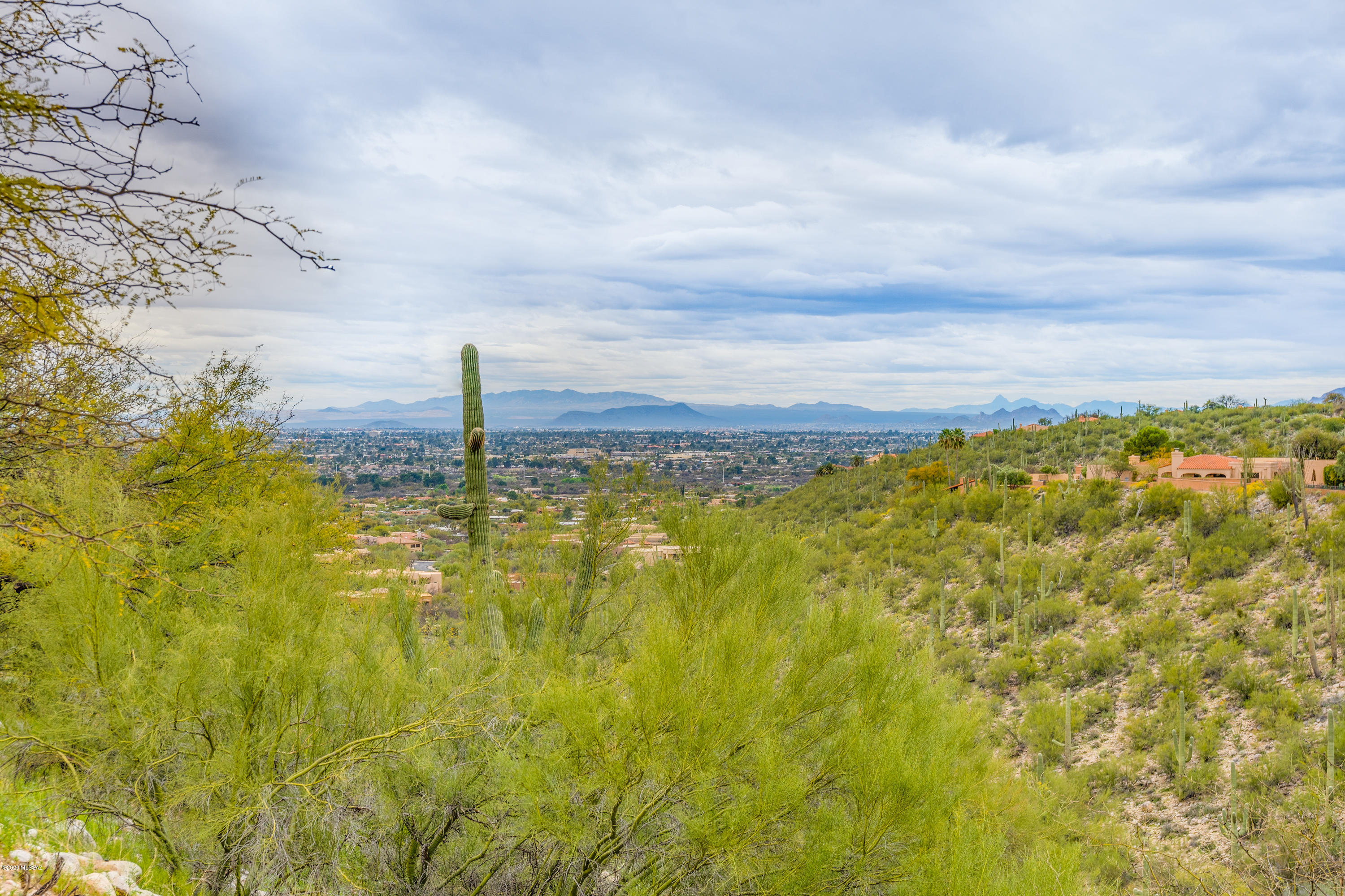 4361 N Camino Ferreo