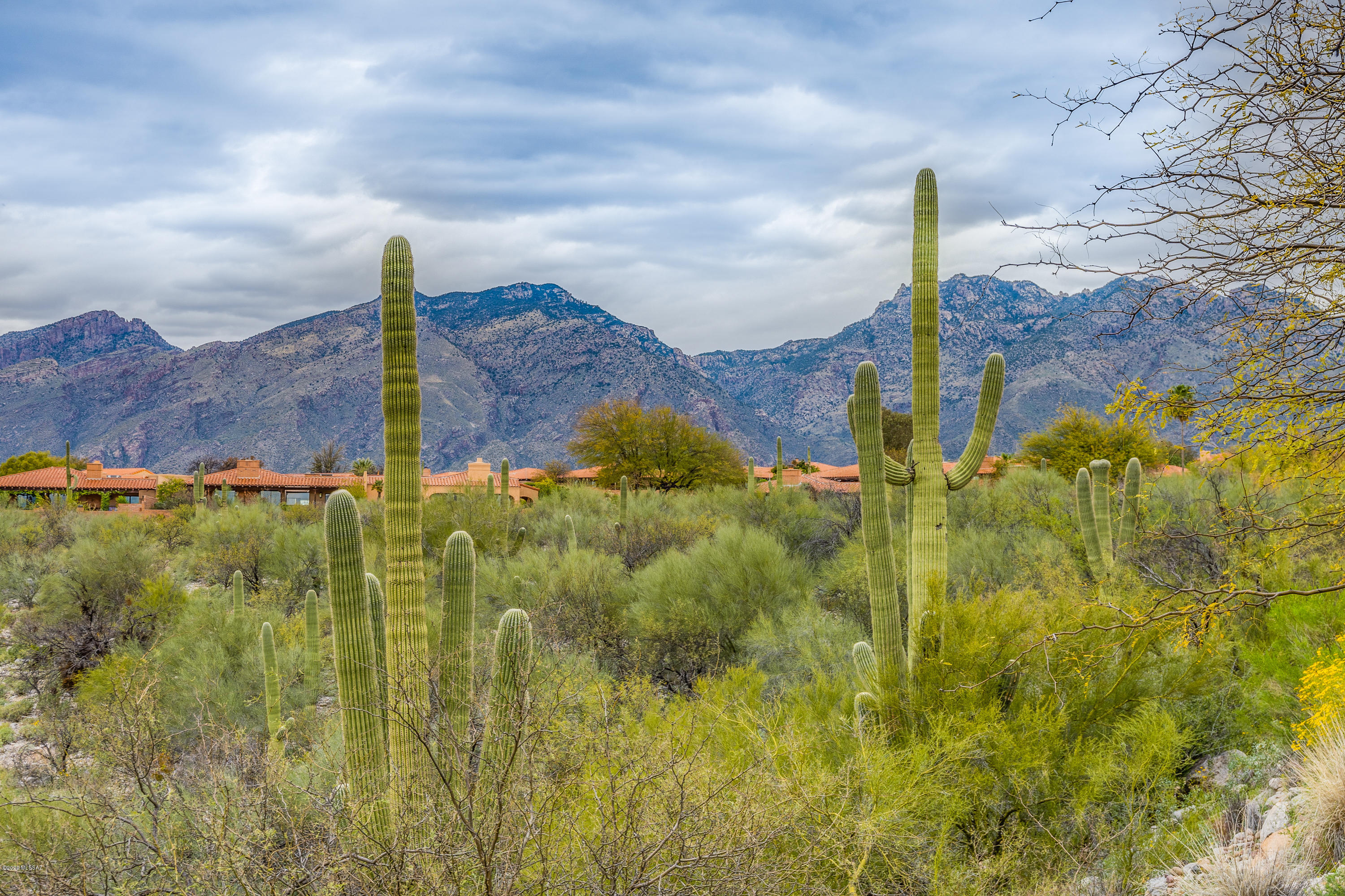 4361 N Camino Ferreo