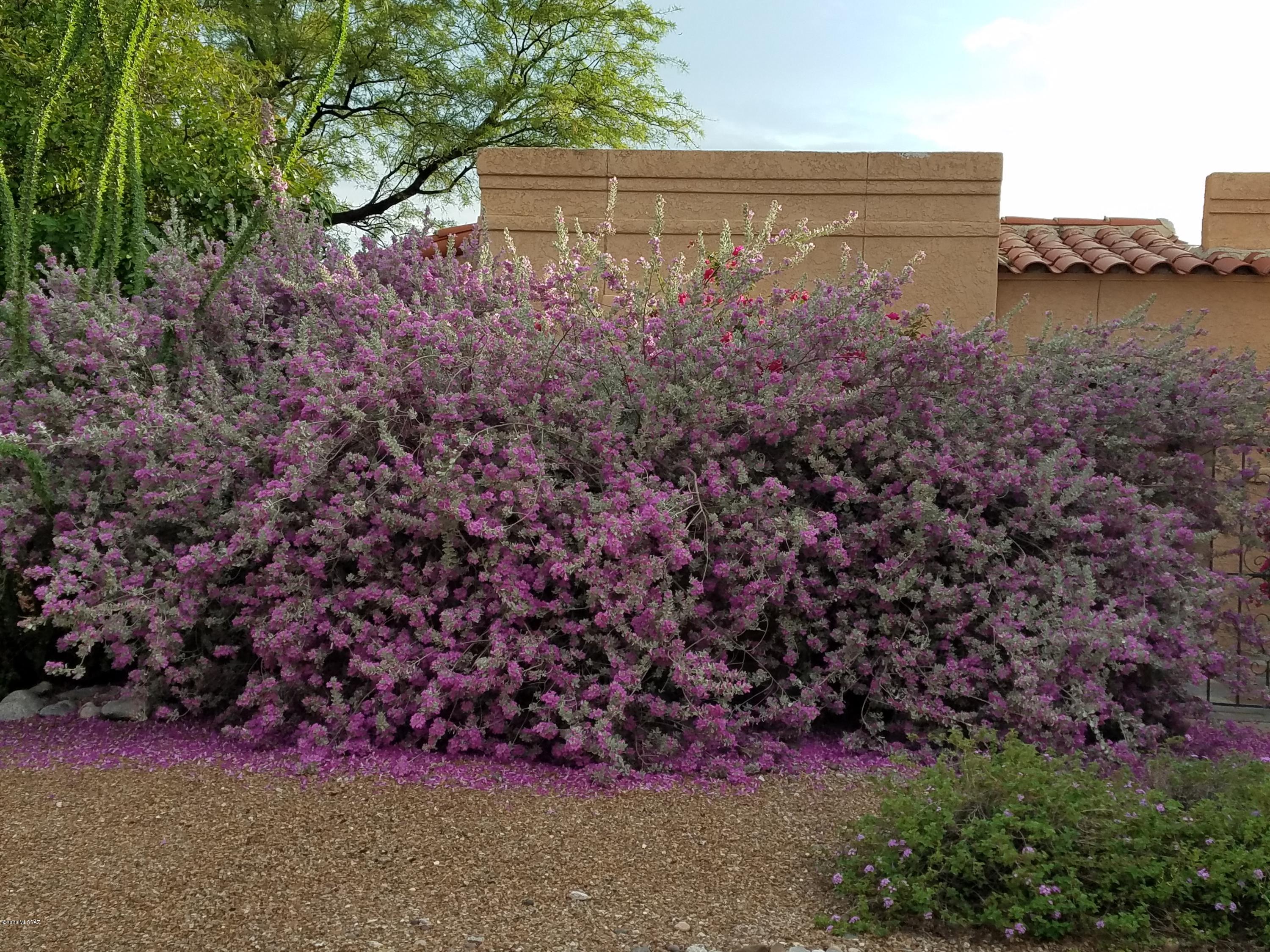 4361 N Camino Ferreo