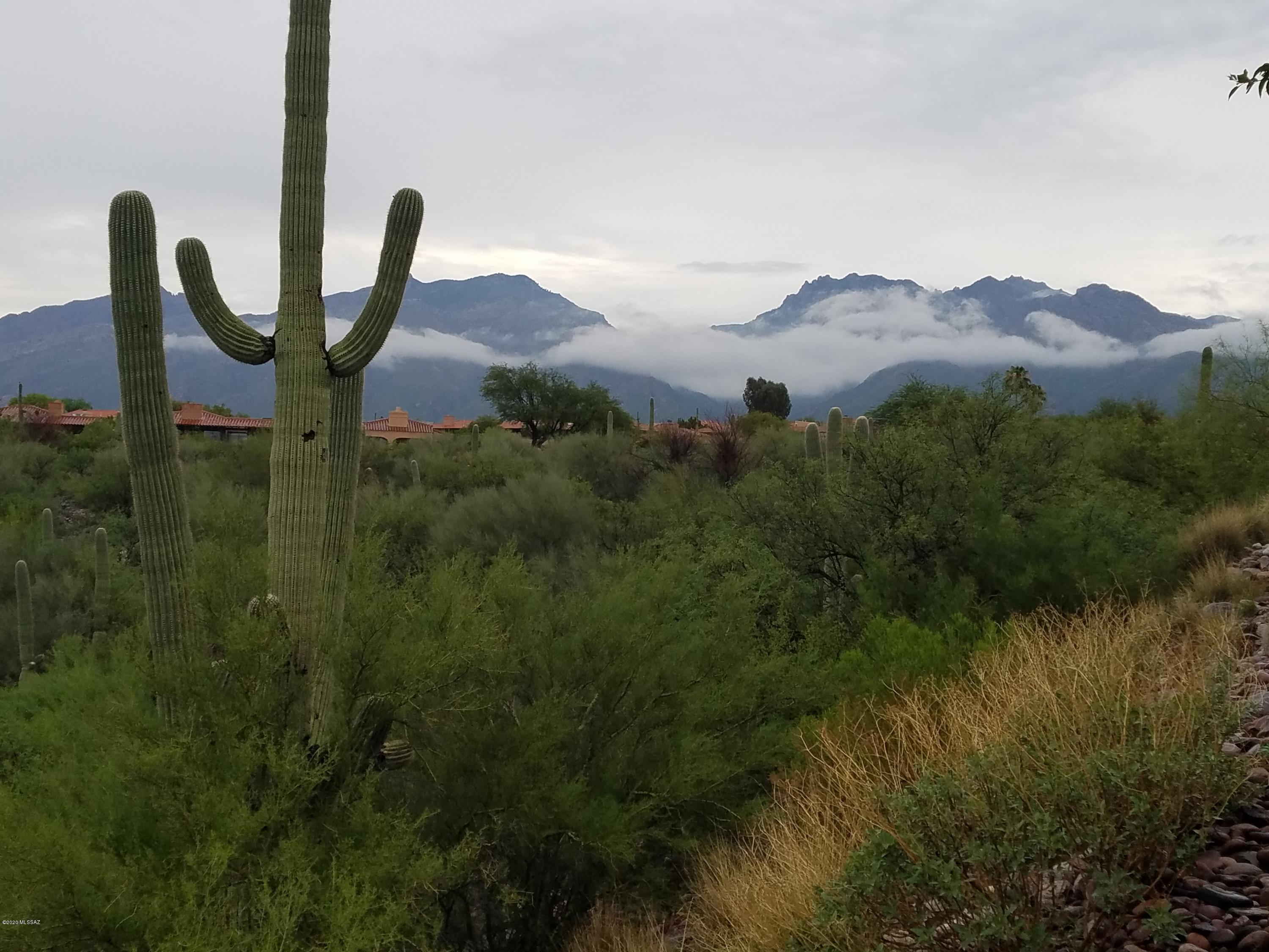 4361 N Camino Ferreo