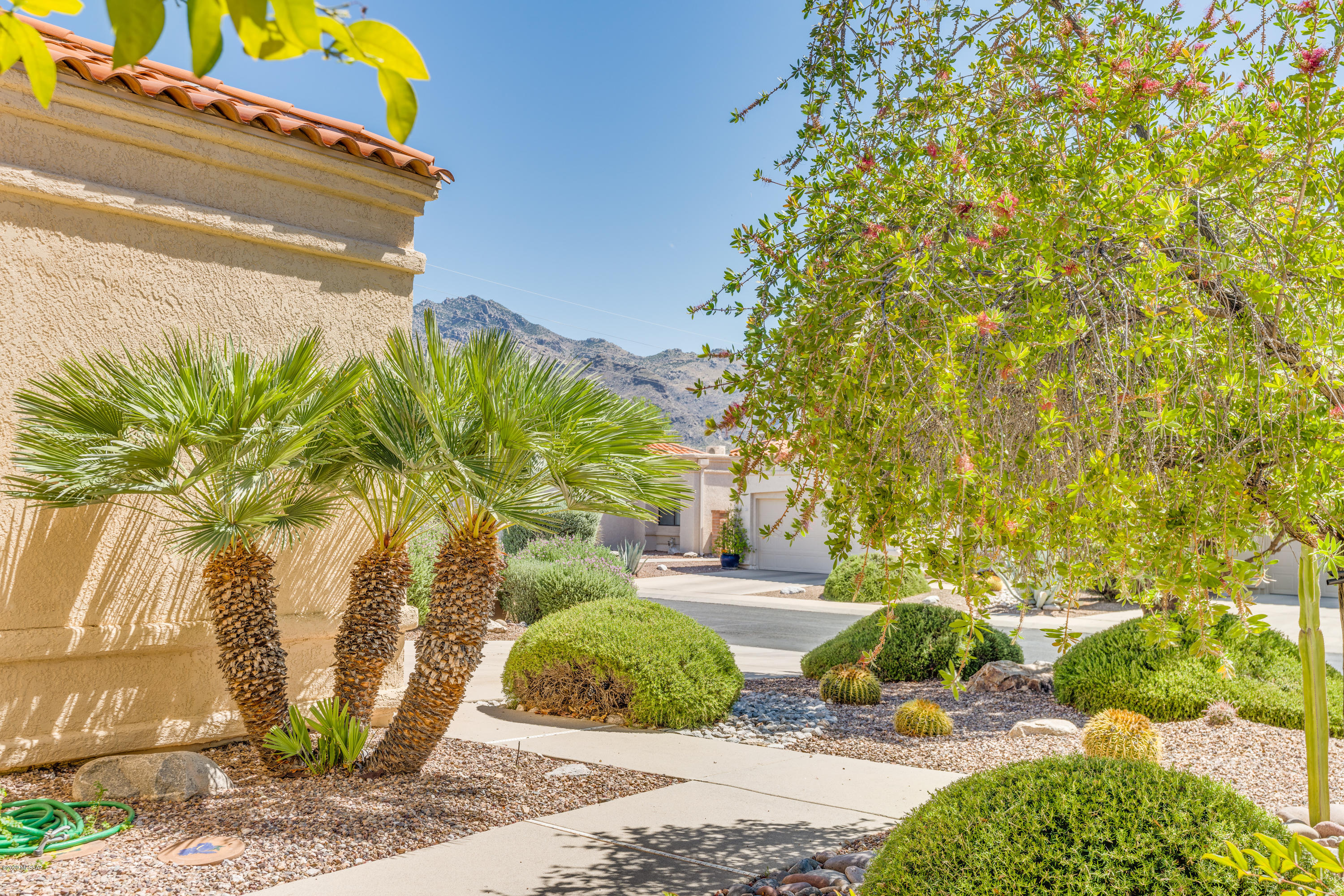 5555 N Largo Papavero