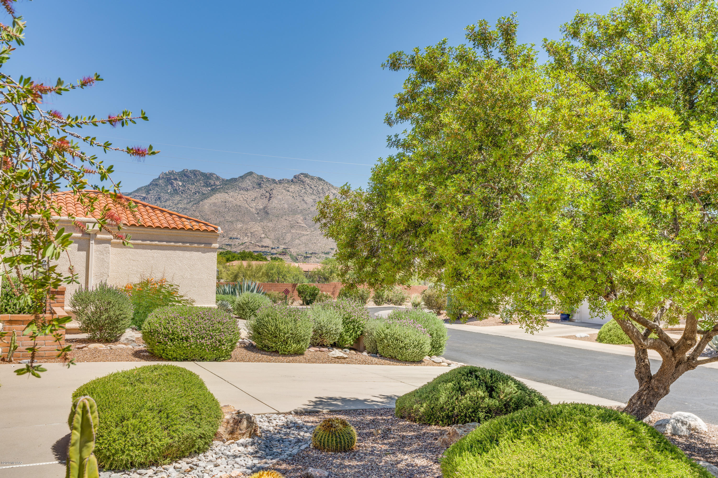 5555 N Largo Papavero