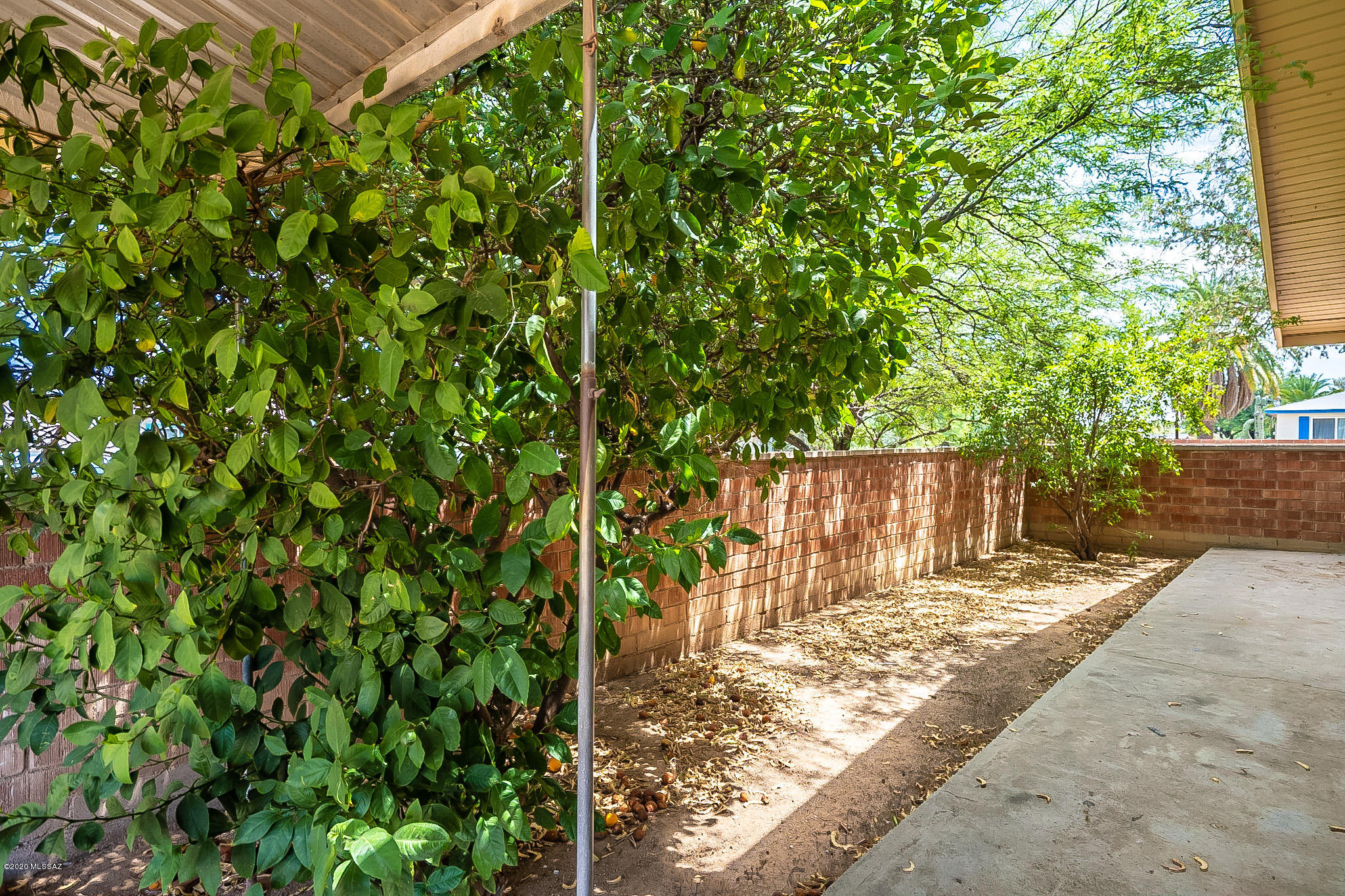 1331 N Rosemont Boulevard