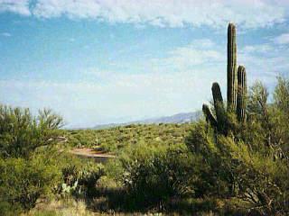 9485 S Old Soldier Trail