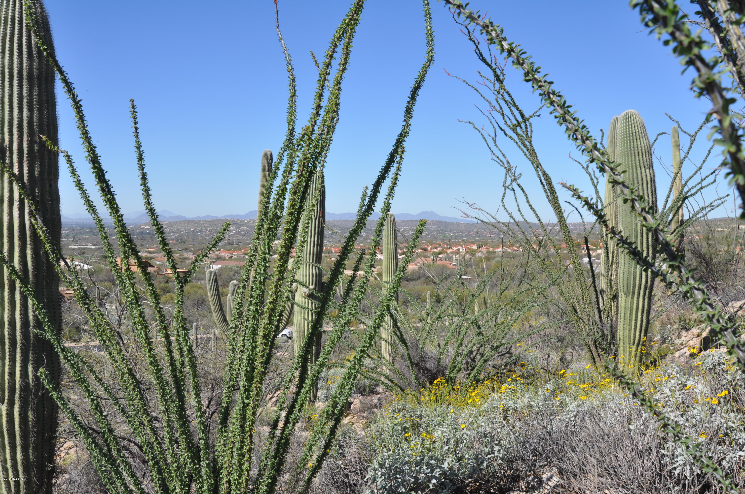 5286 N Mesquite Canyon Place Unit: 13