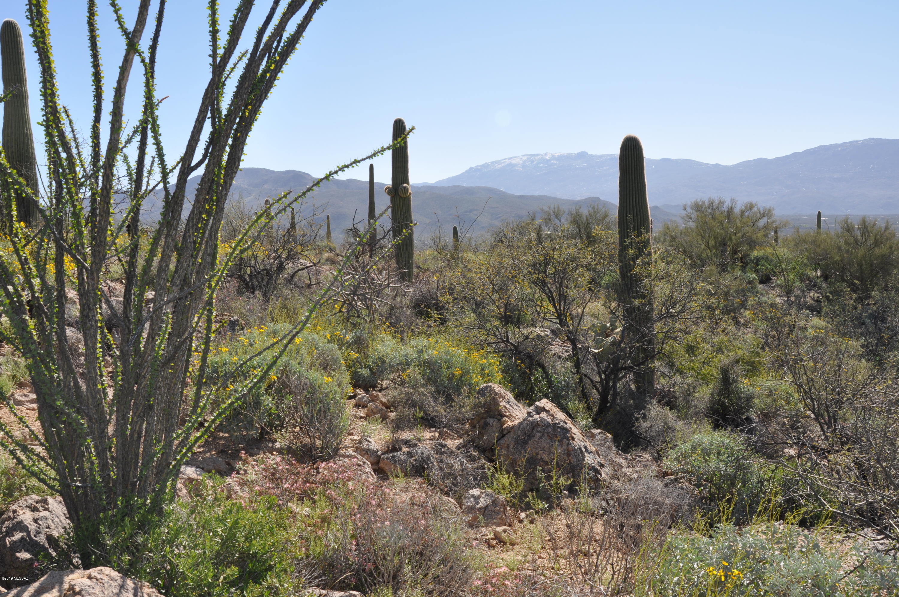 5286 N Mesquite Canyon Place Unit: 13