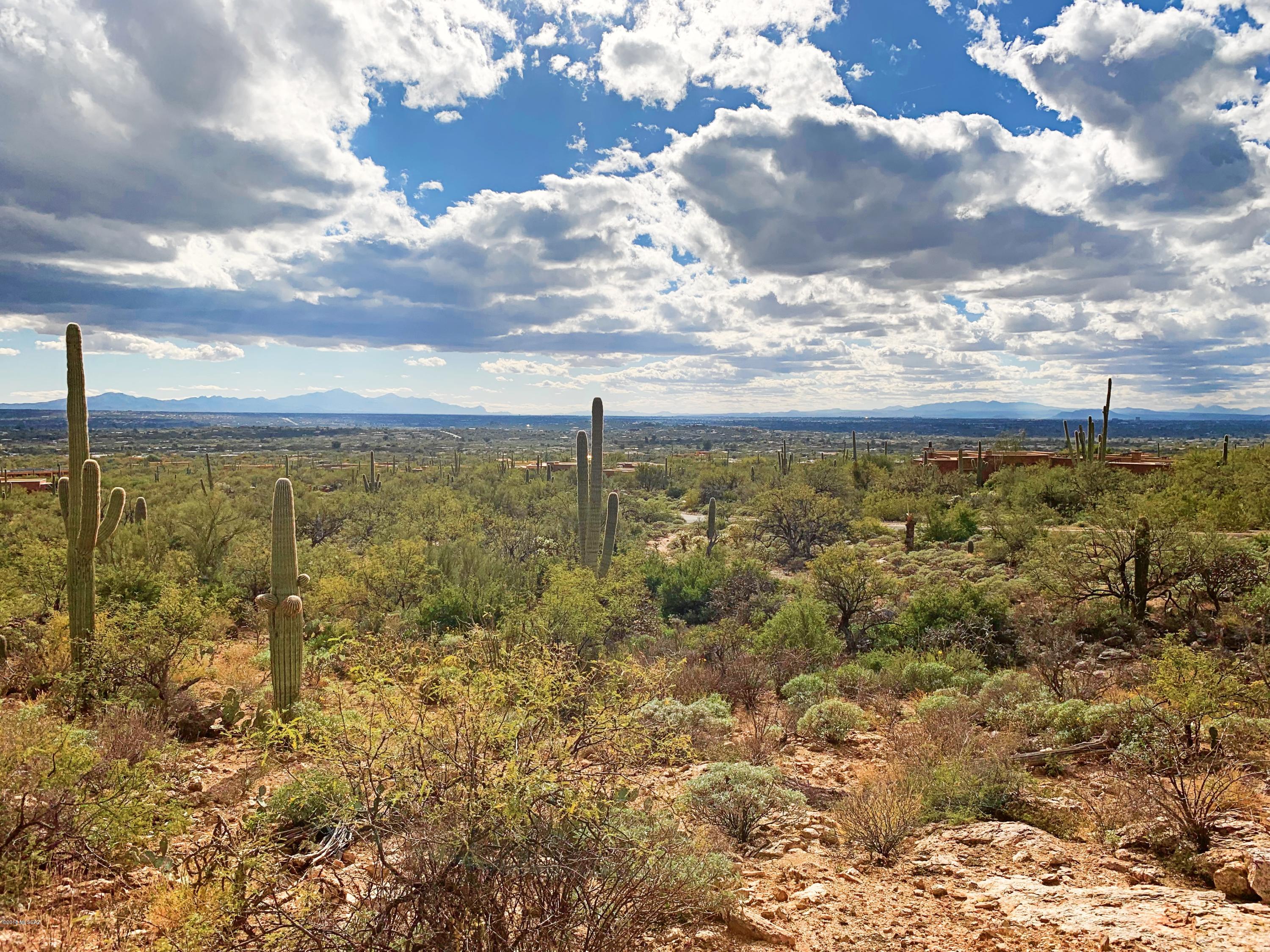 5286 N Mesquite Canyon Place Unit: 13