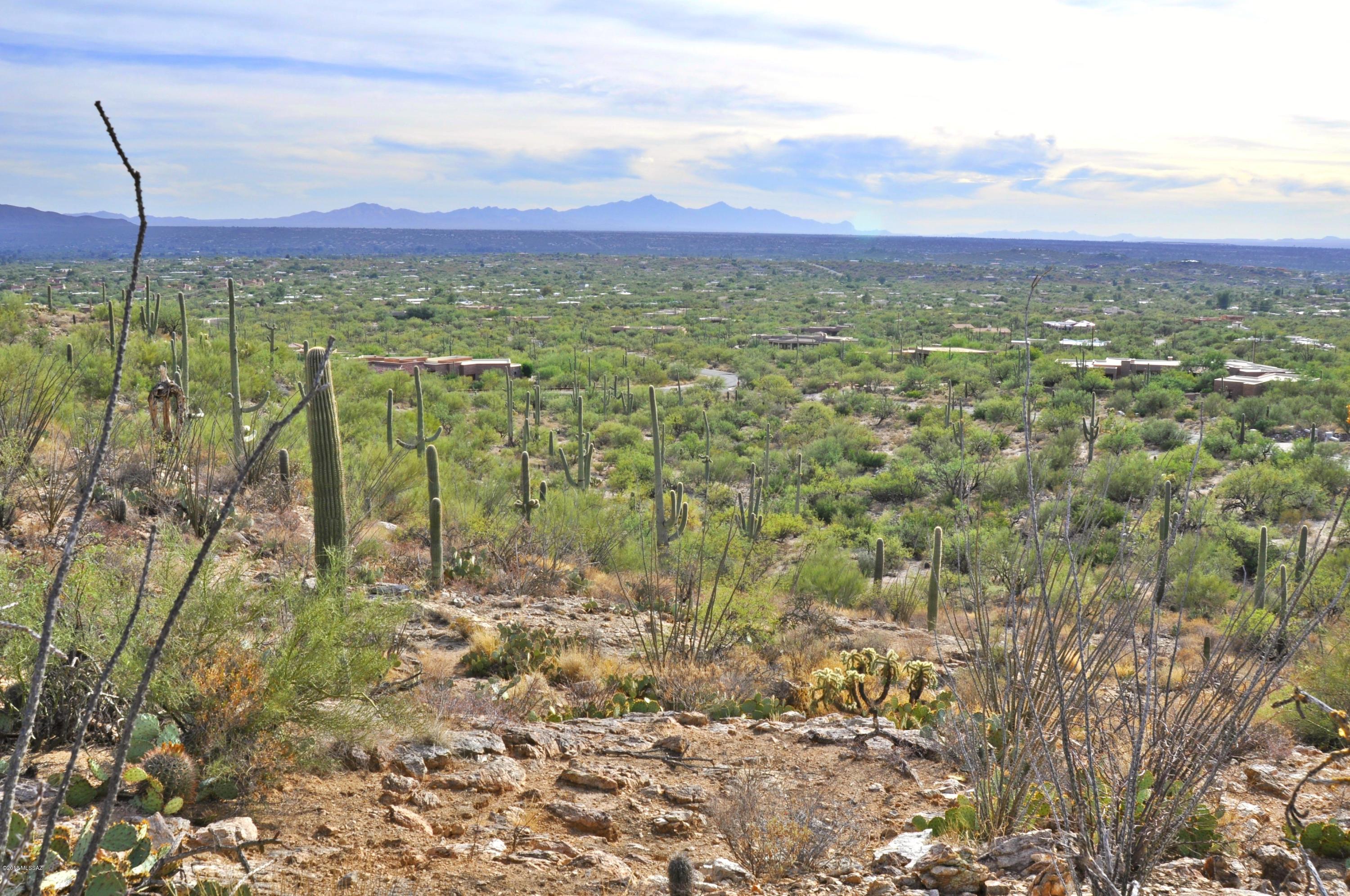 5286 N Mesquite Canyon Place Unit: 13