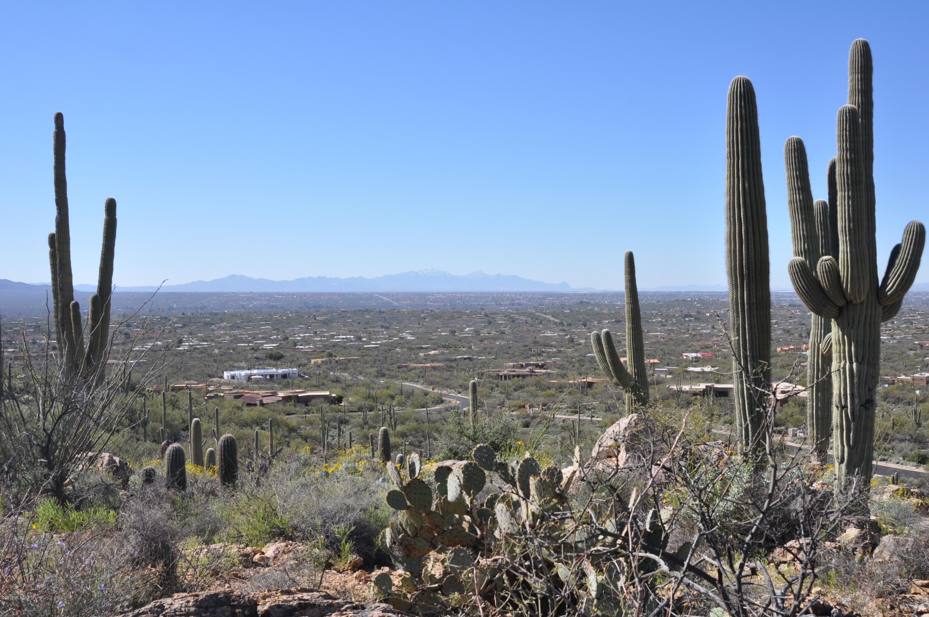 5286 N Mesquite Canyon Place Unit: 13