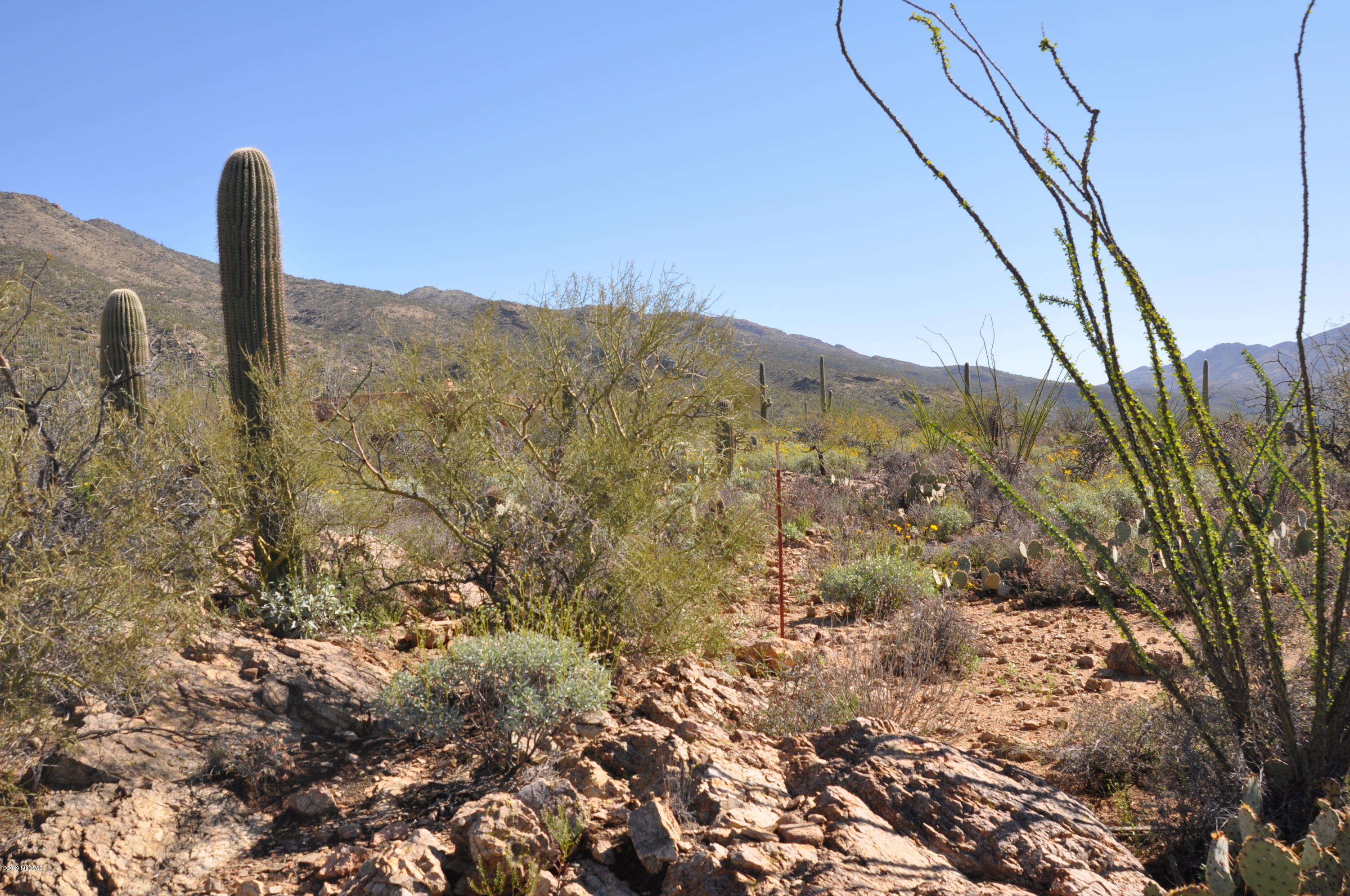 5286 N Mesquite Canyon Place Unit: 13