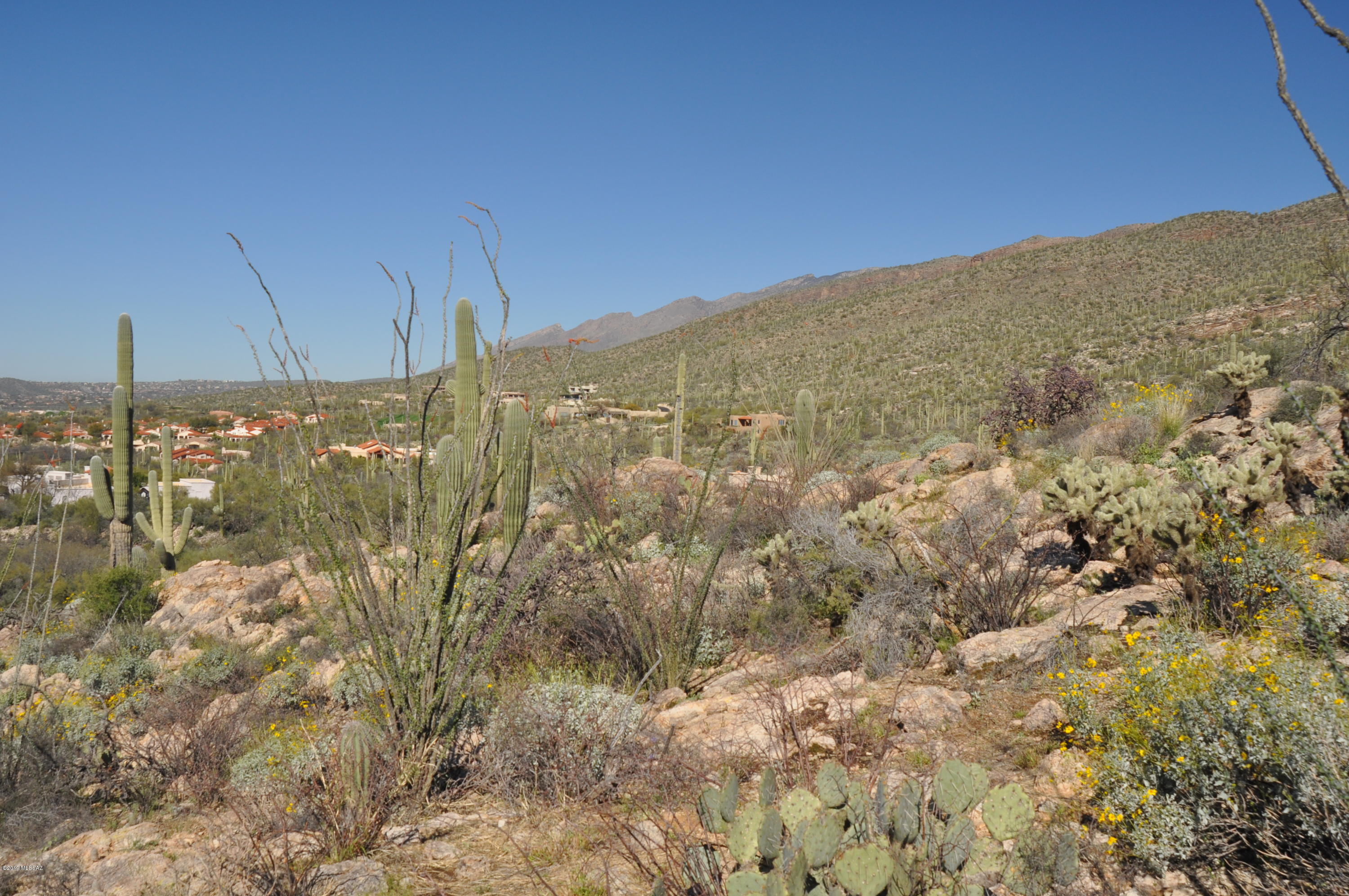 5286 N Mesquite Canyon Place Unit: 13