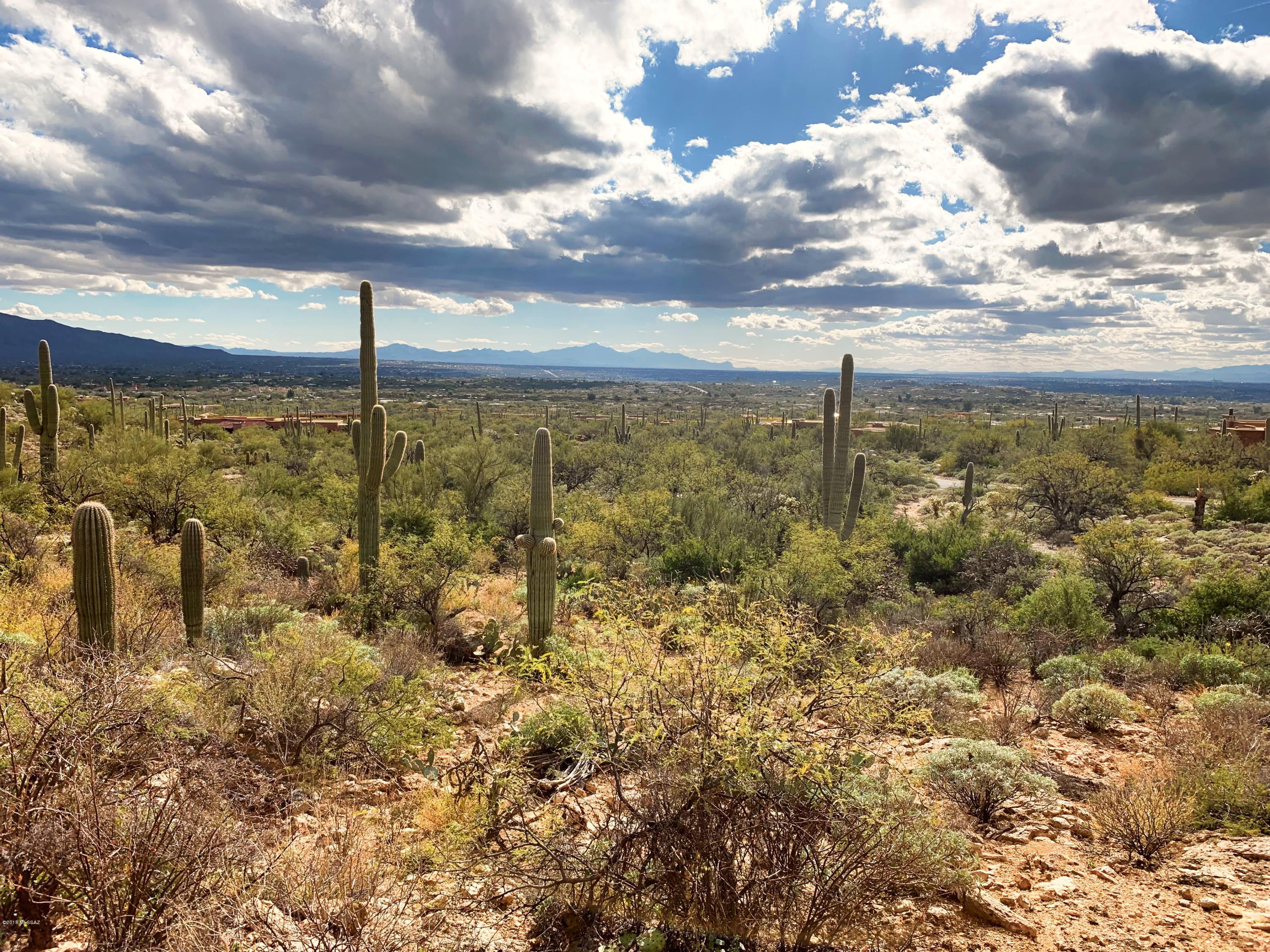 5286 N Mesquite Canyon Place Unit: 13