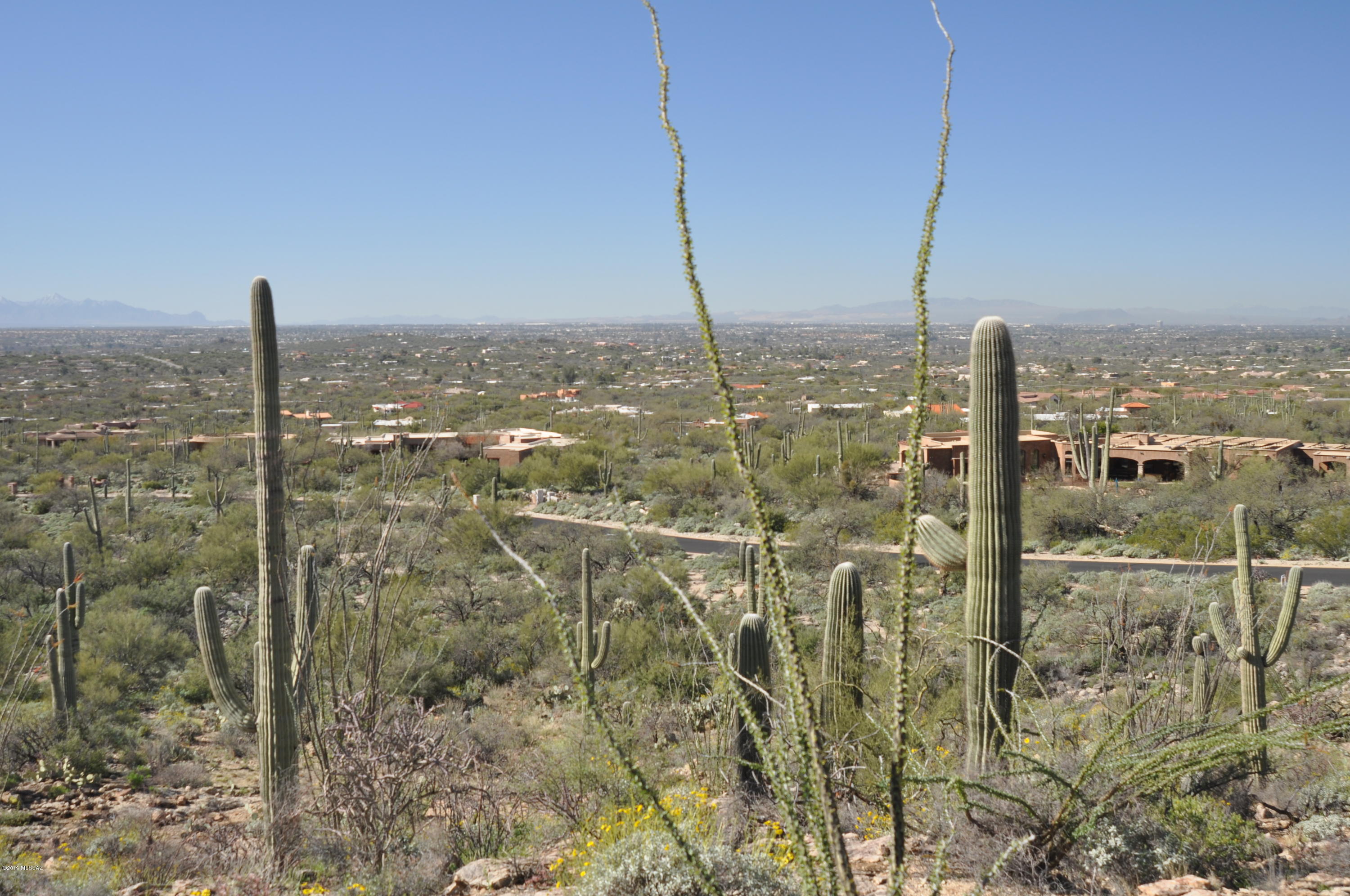 5286 N Mesquite Canyon Place Unit: 13