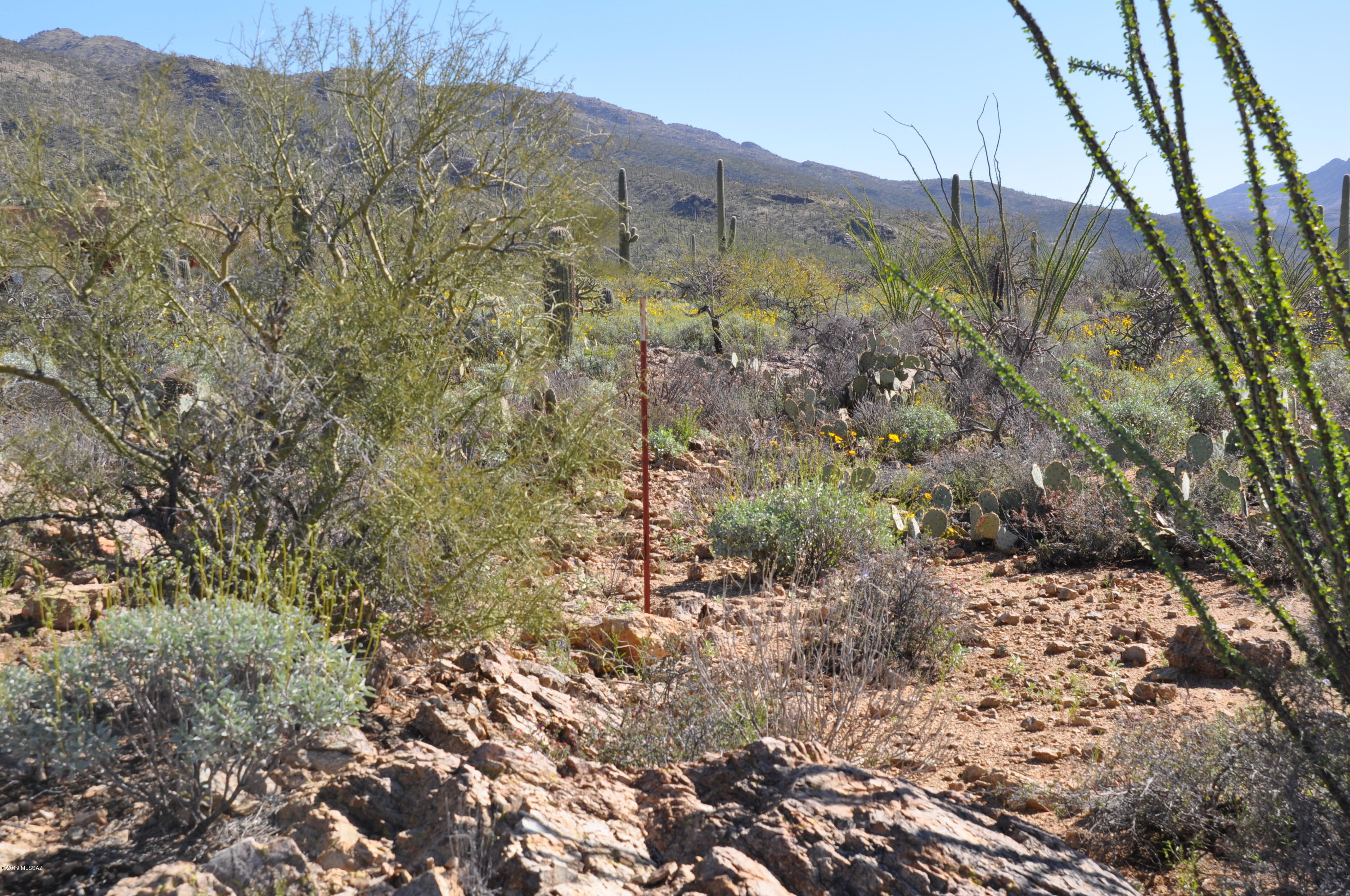 5286 N Mesquite Canyon Place Unit: 13