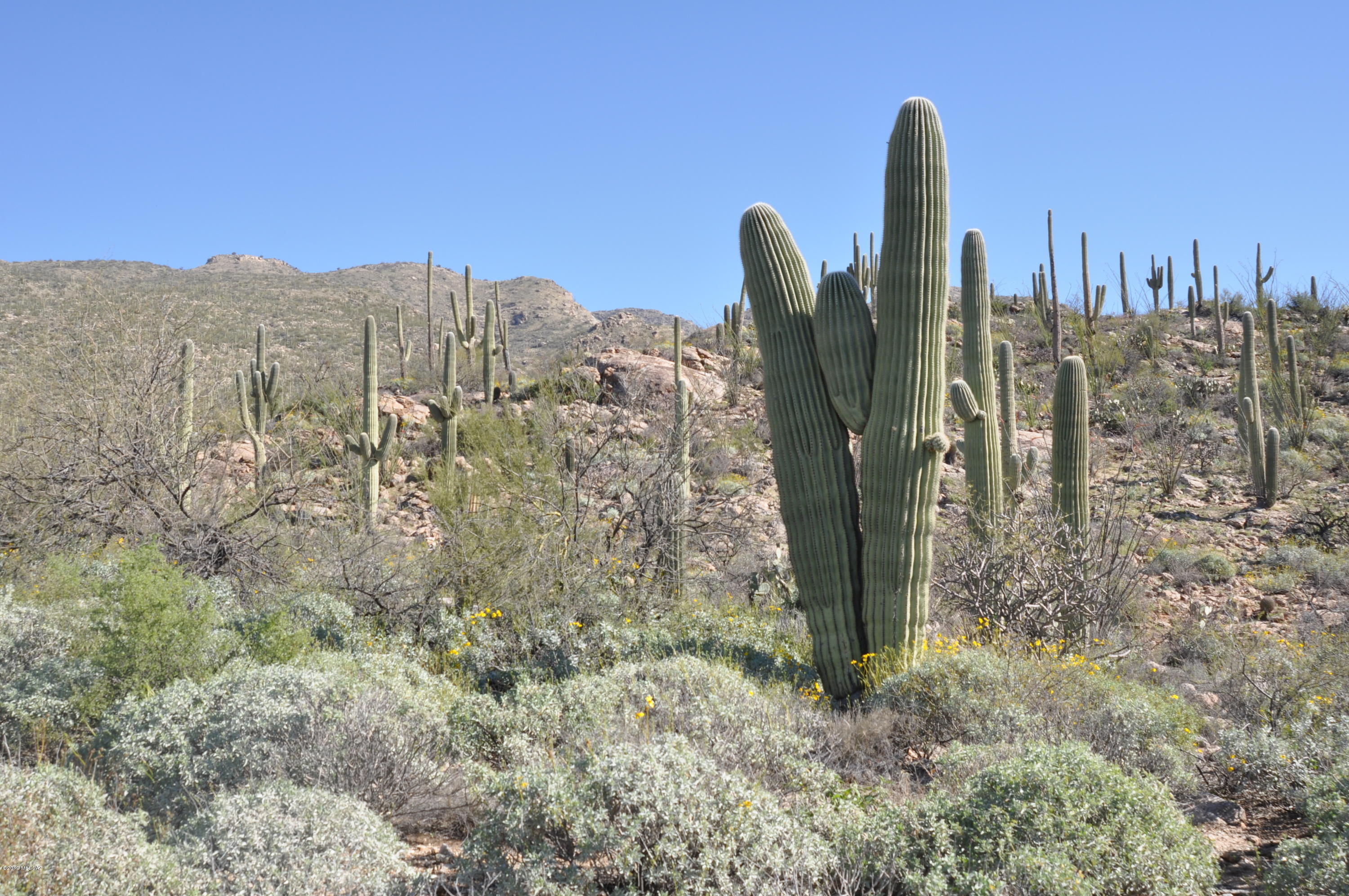 5286 N Mesquite Canyon Place Unit: 13