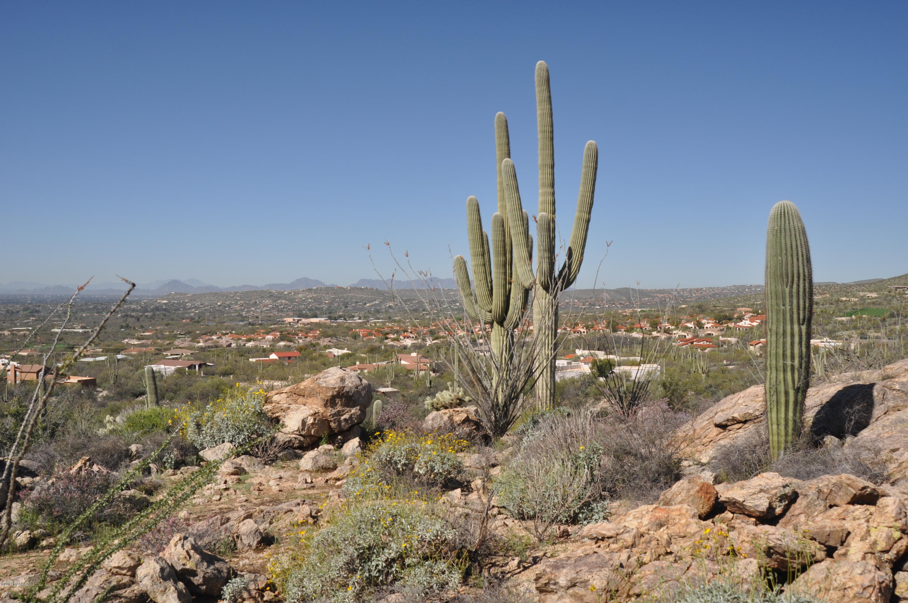 5286 N Mesquite Canyon Place Unit: 13