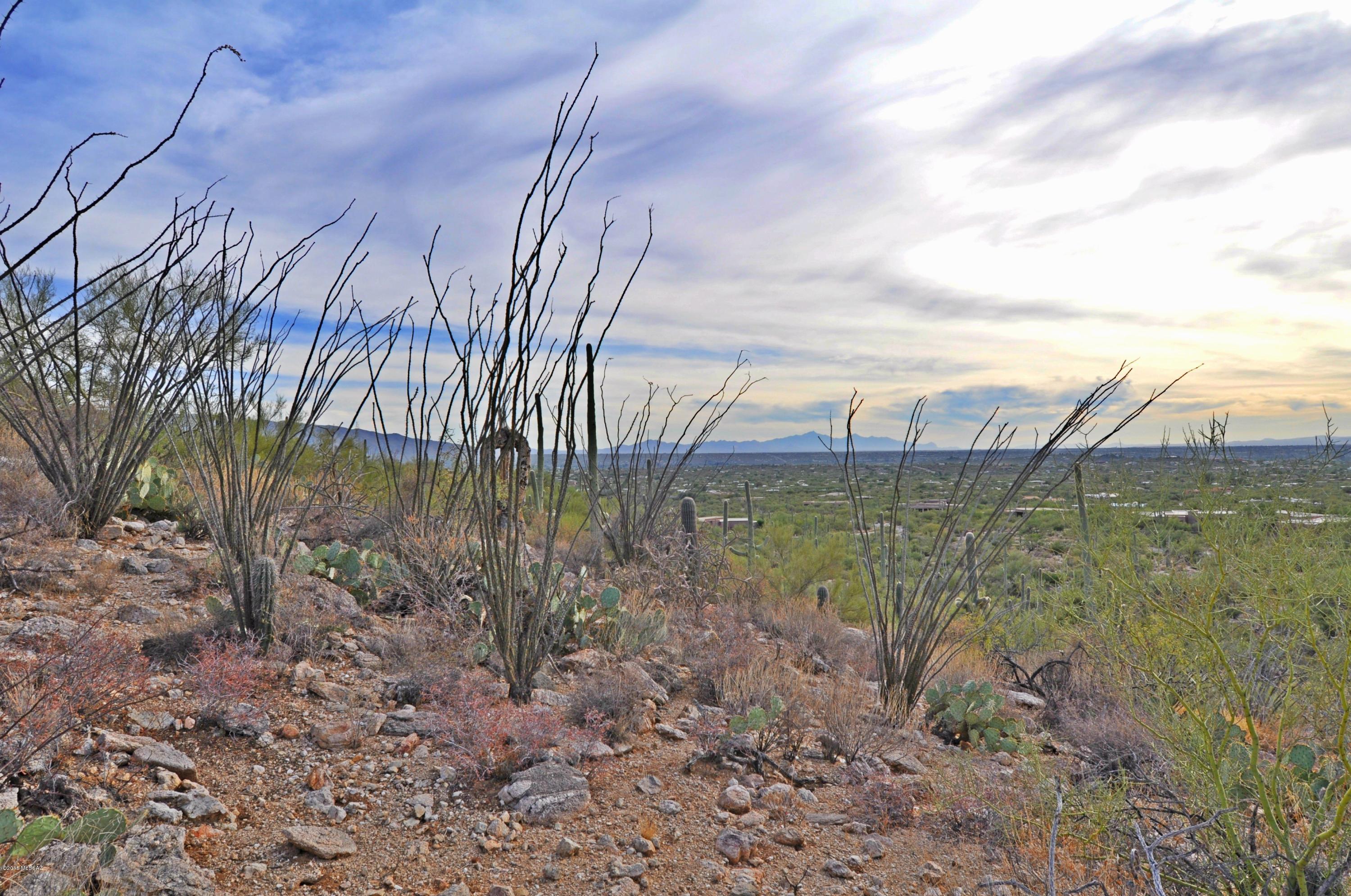 5286 N Mesquite Canyon Place Unit: 13