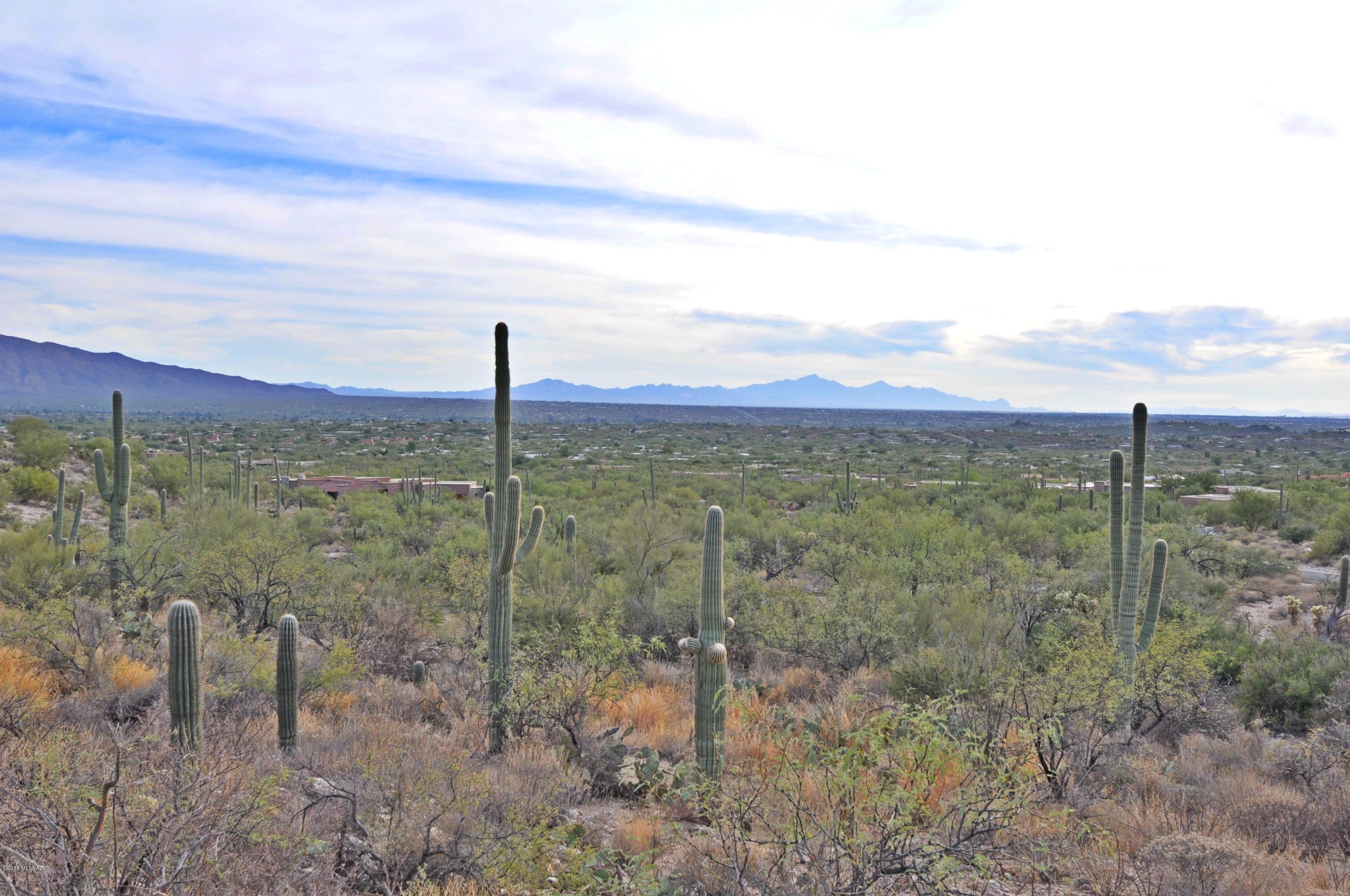 5286 N Mesquite Canyon Place Unit: 13