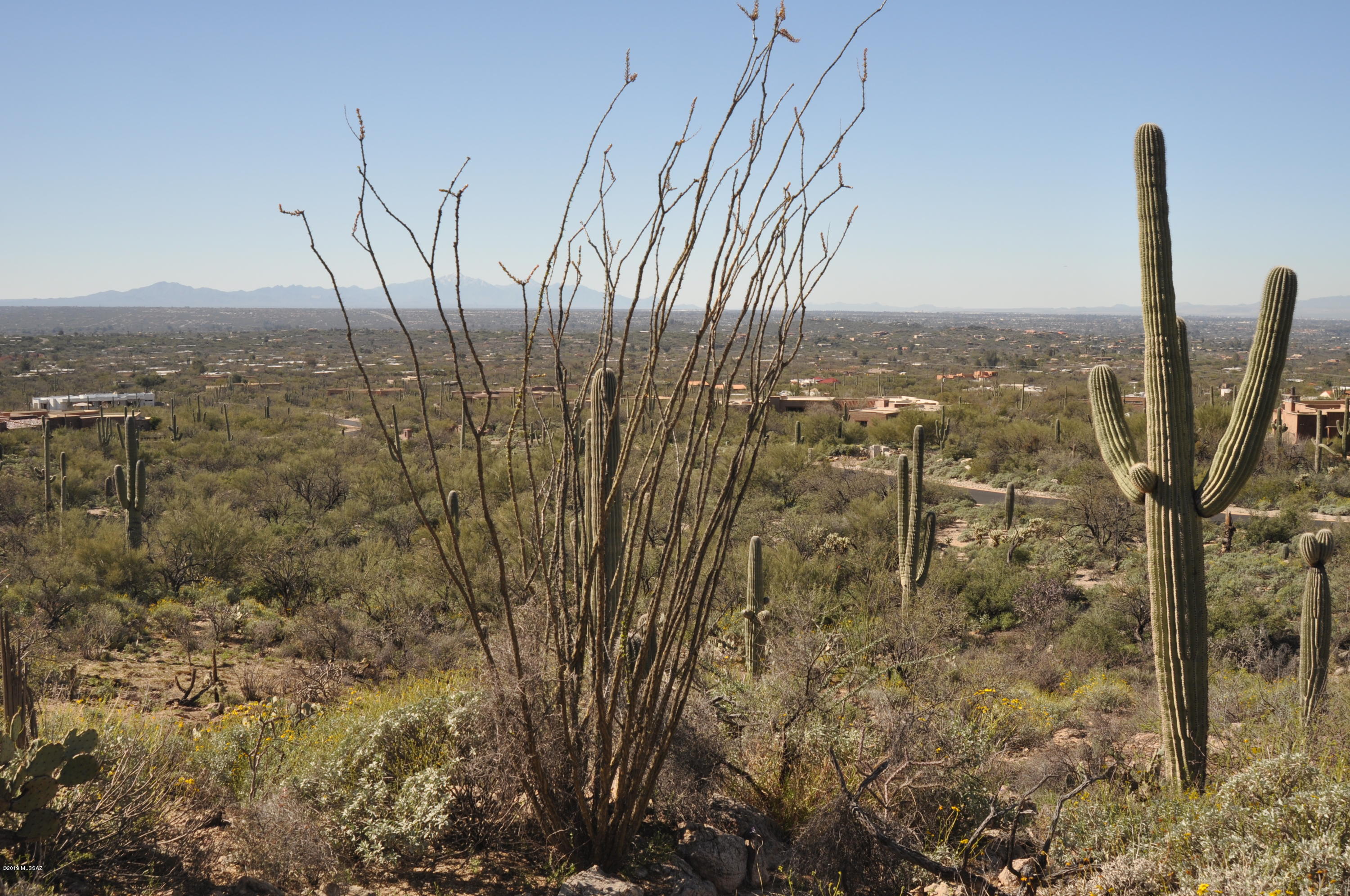 5286 N Mesquite Canyon Place Unit: 13