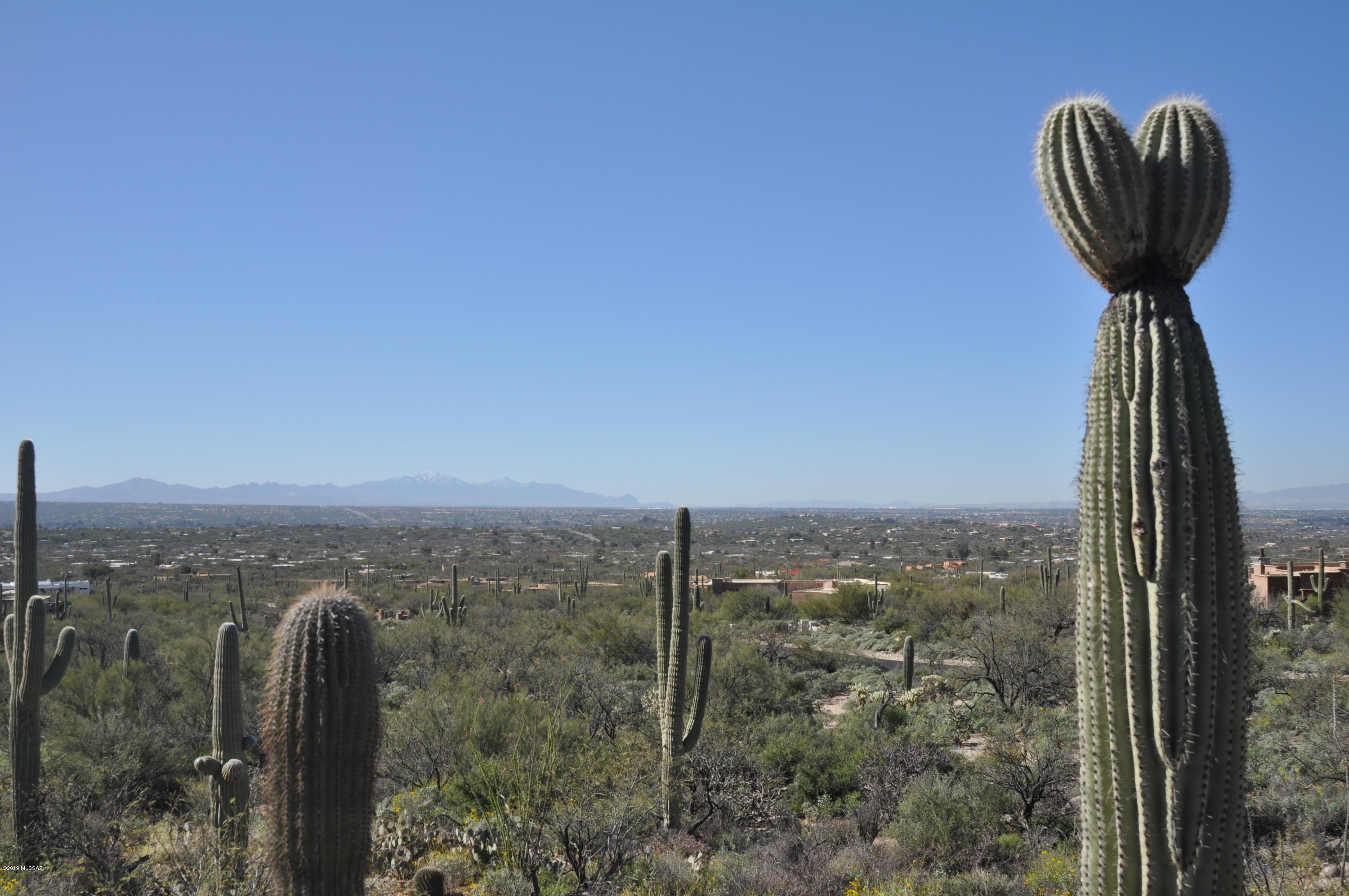 5286 N Mesquite Canyon Place Unit: 13