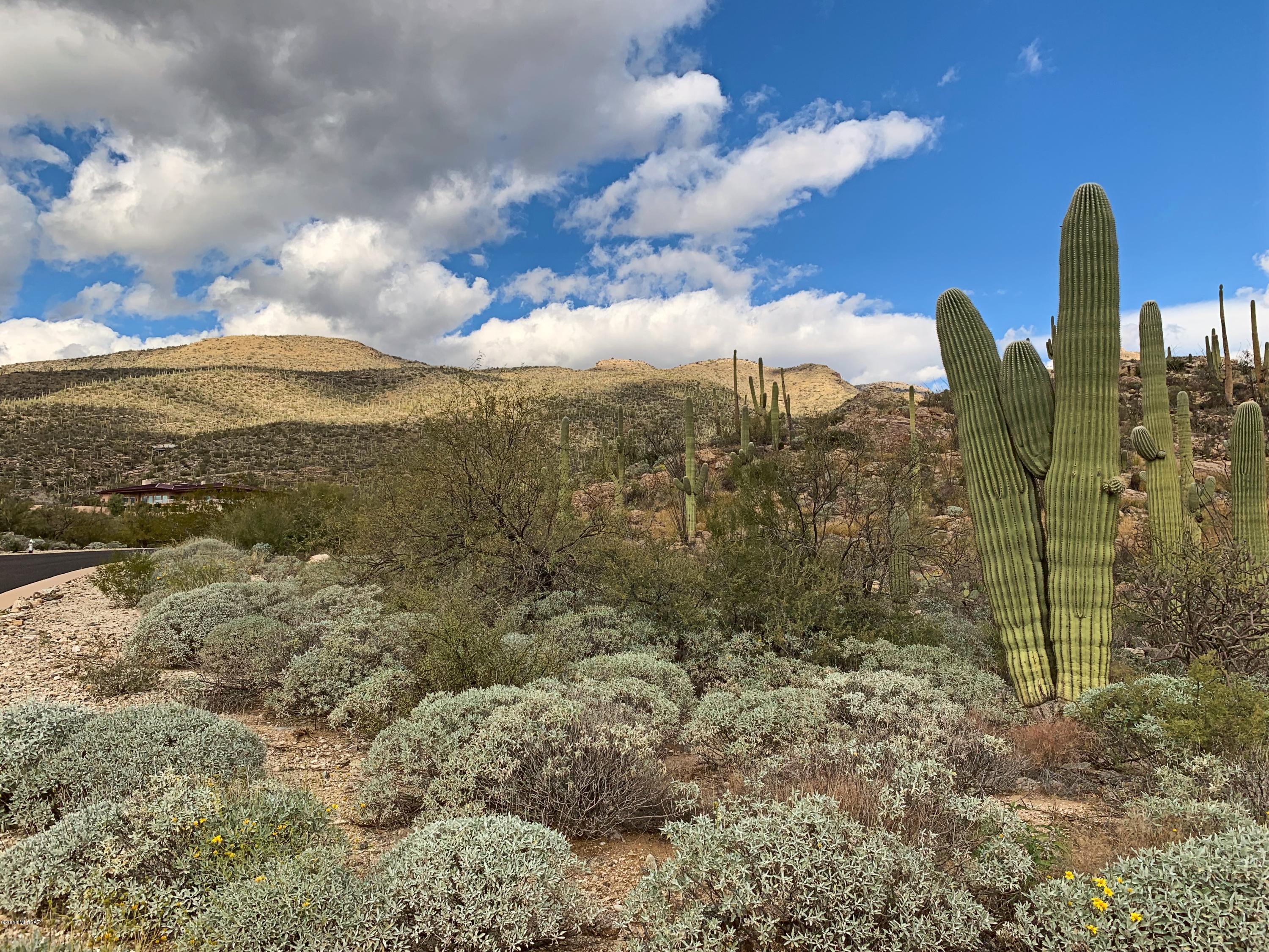 5286 N Mesquite Canyon Place Unit: 13