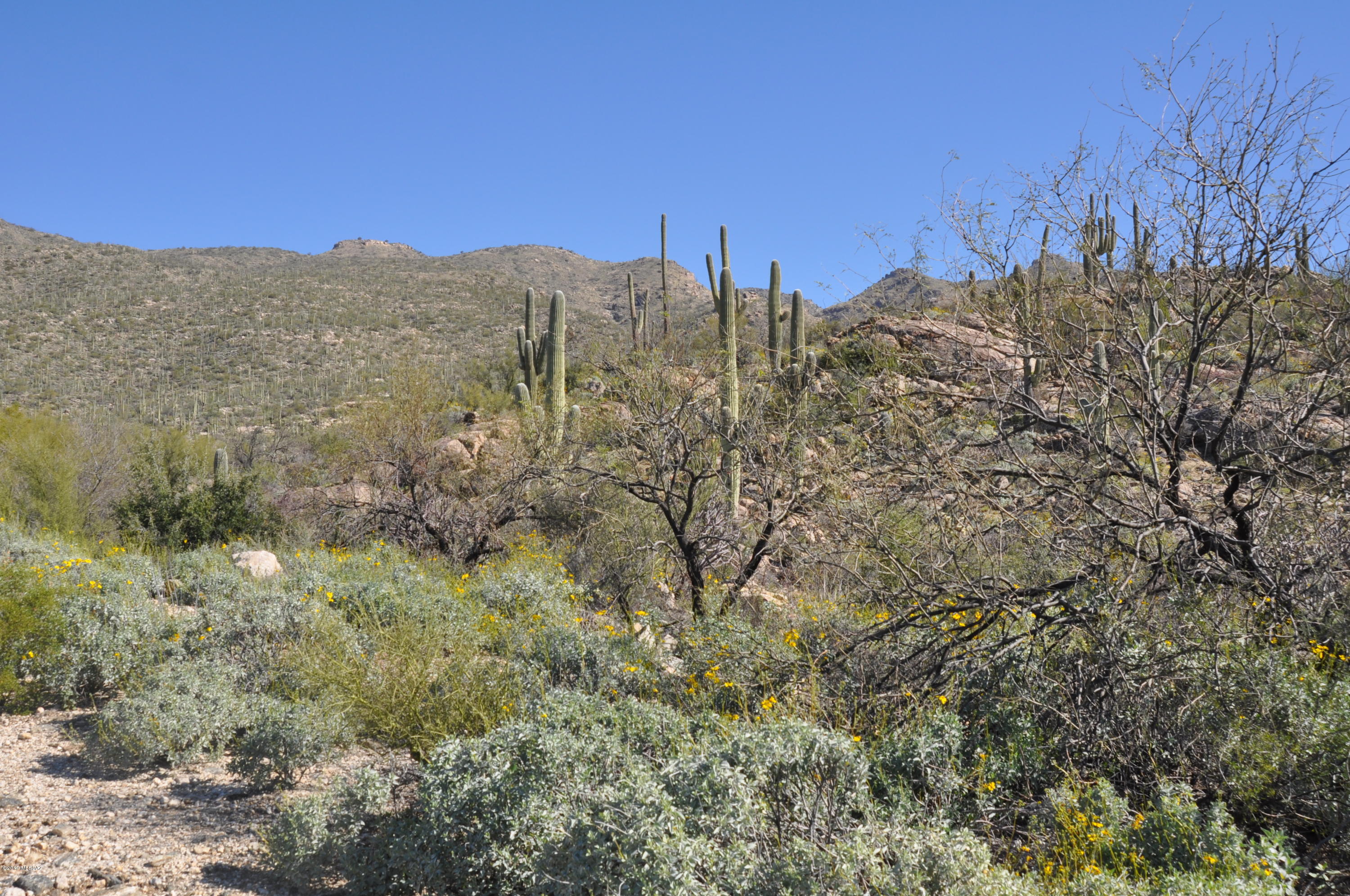5286 N Mesquite Canyon Place Unit: 13