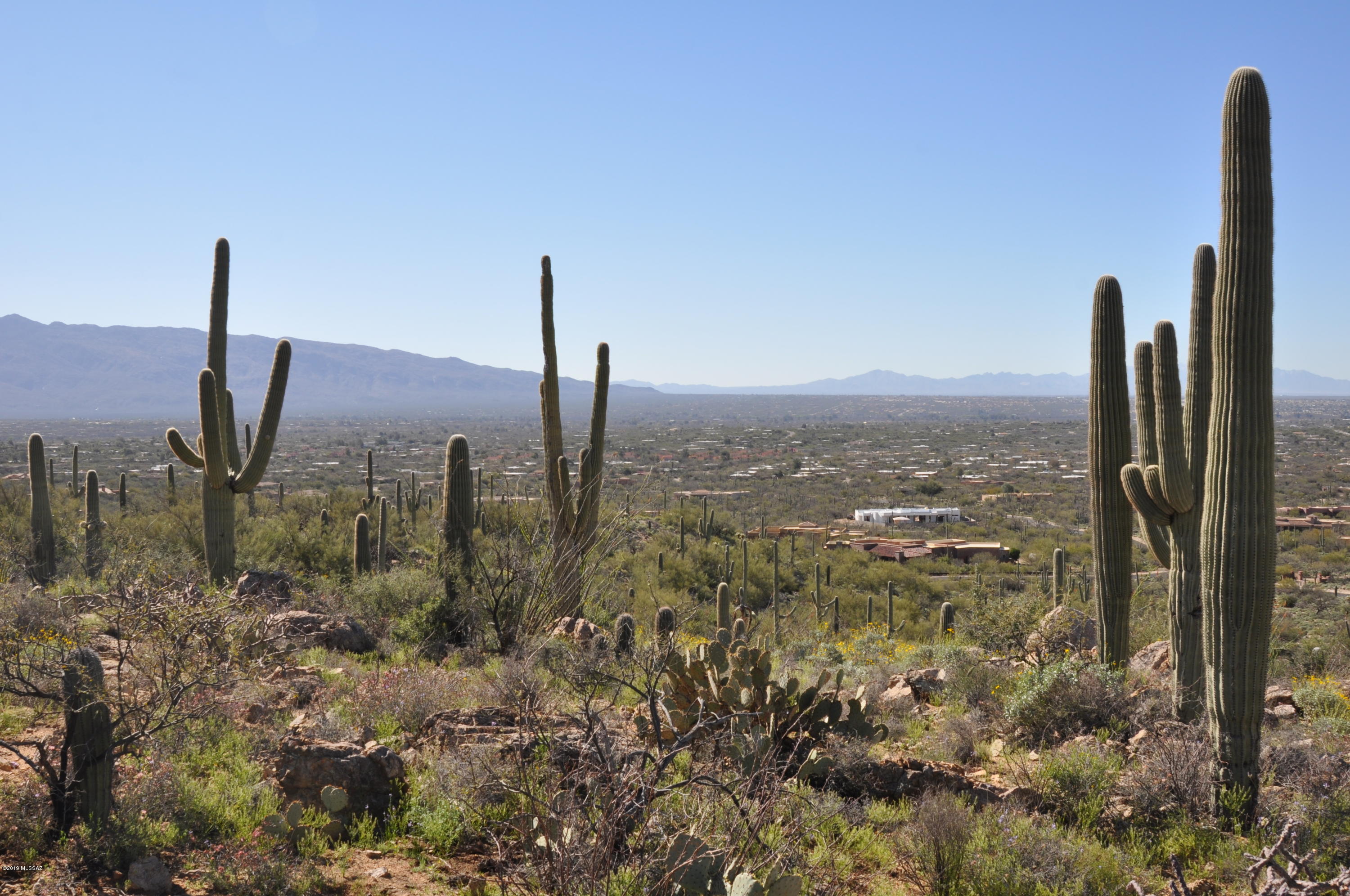 5286 N Mesquite Canyon Place Unit: 13