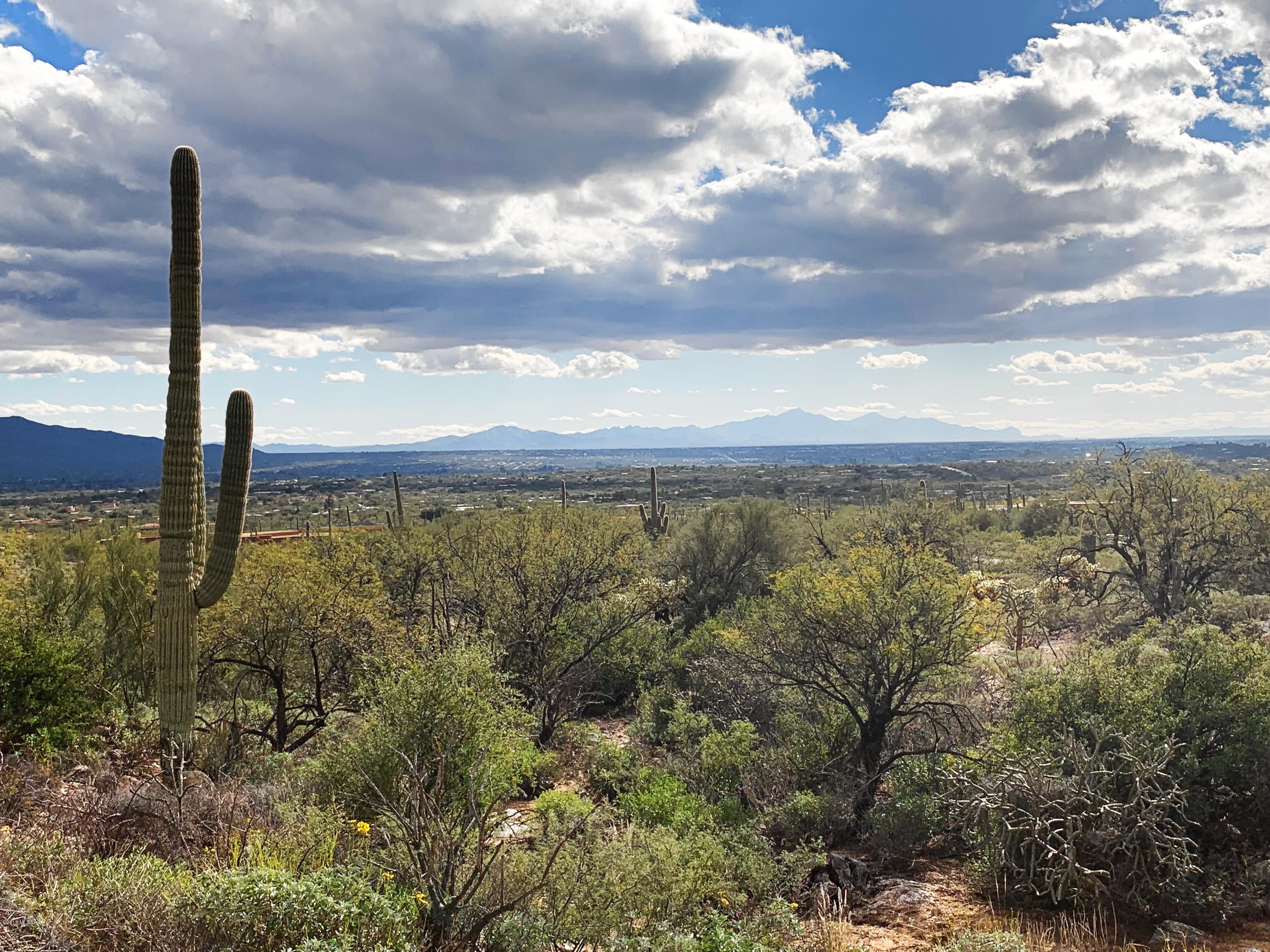 5286 N Mesquite Canyon Place Unit: 13