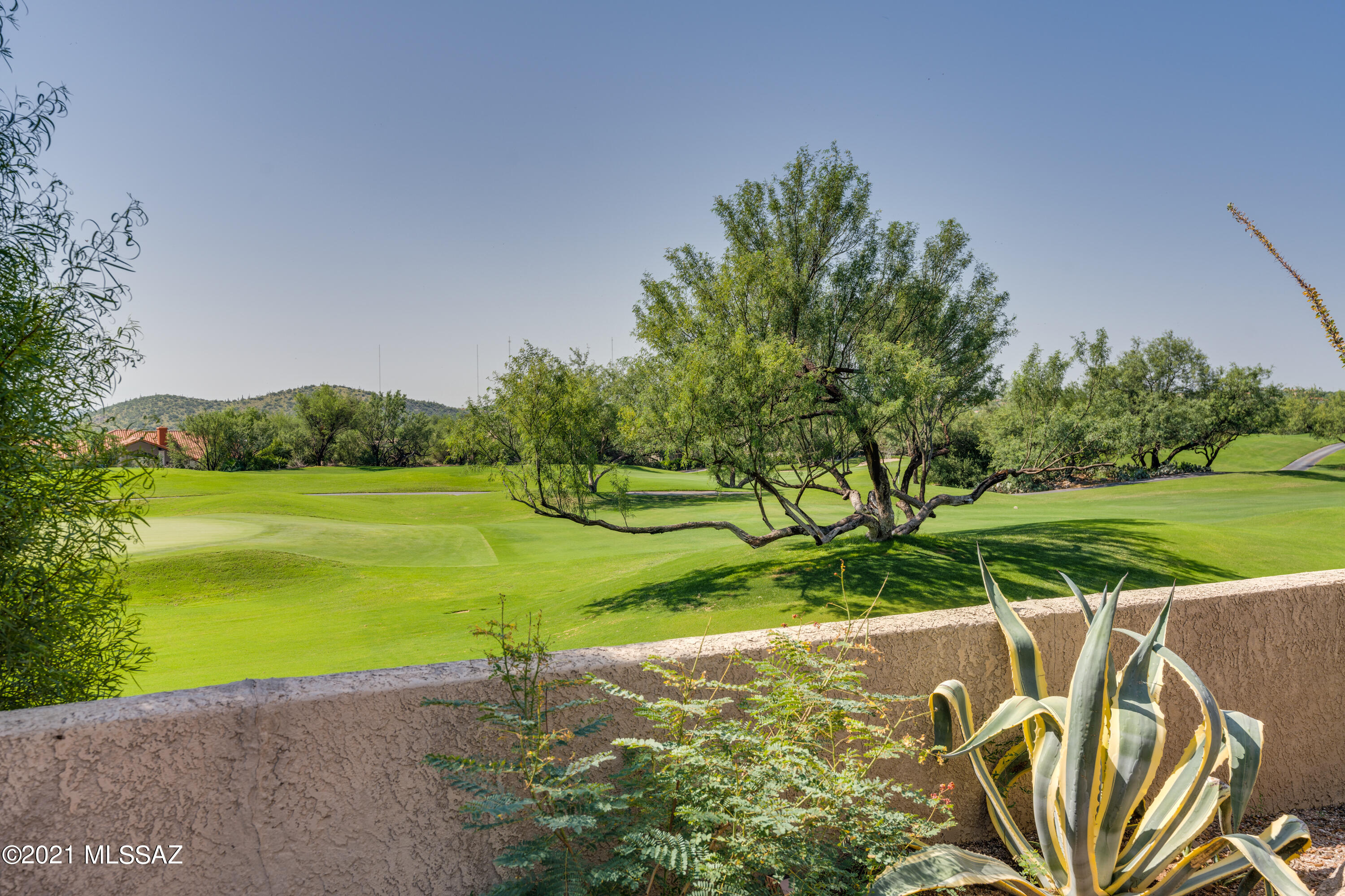 7348 E Calle Alba Serena