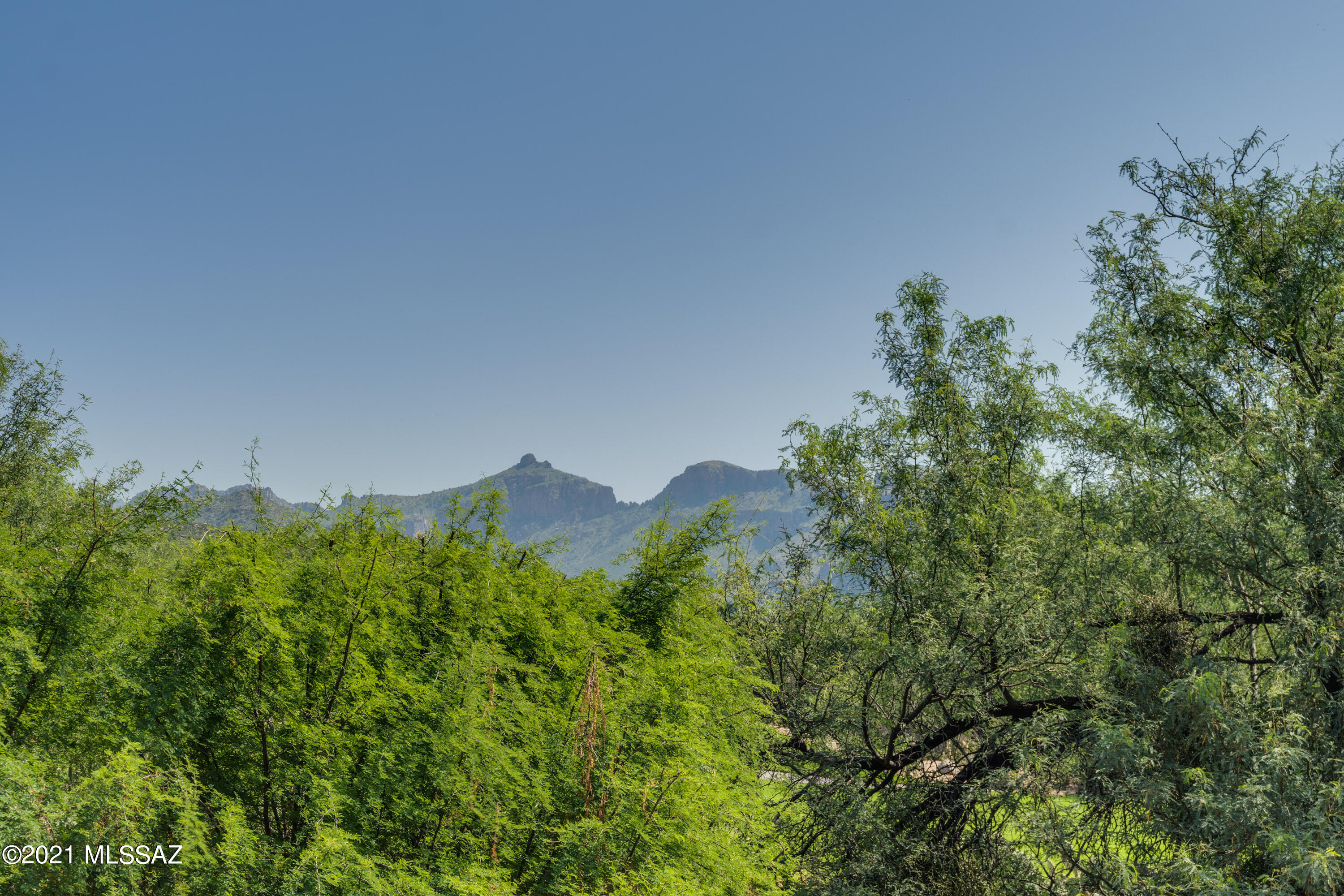 7348 E Calle Alba Serena