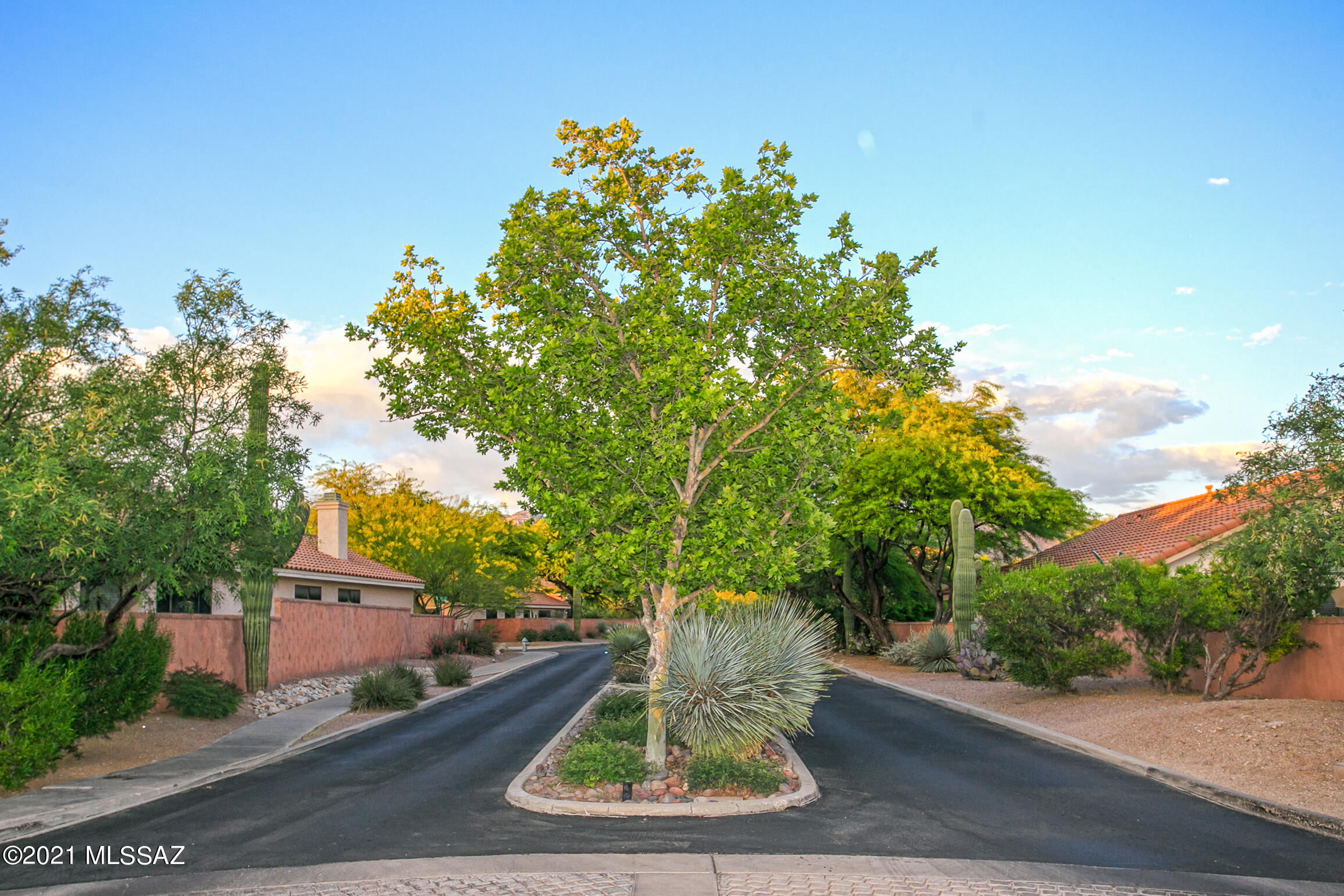 7774 E Via Ventana Norte