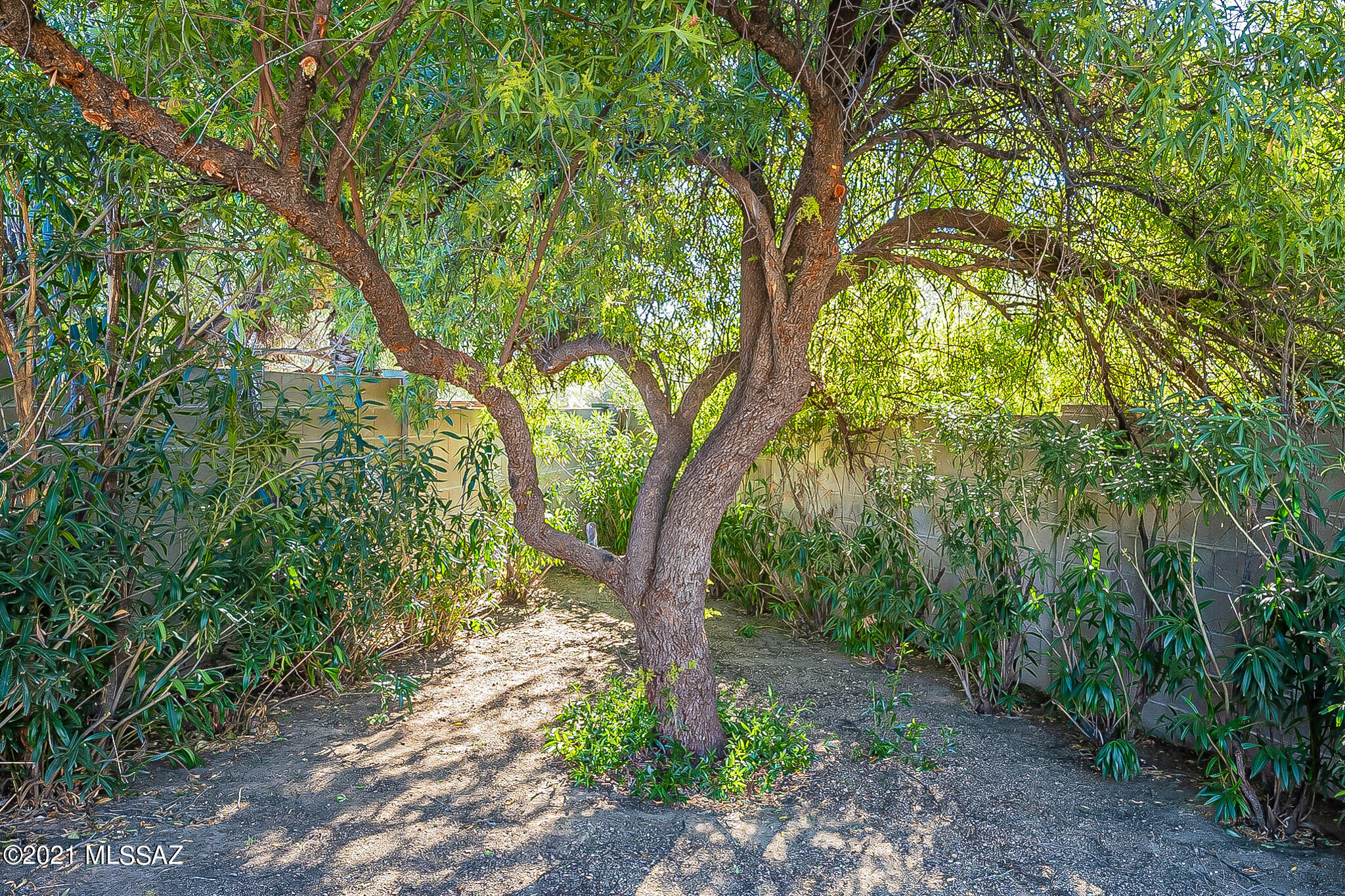 2709 N Essel Drive