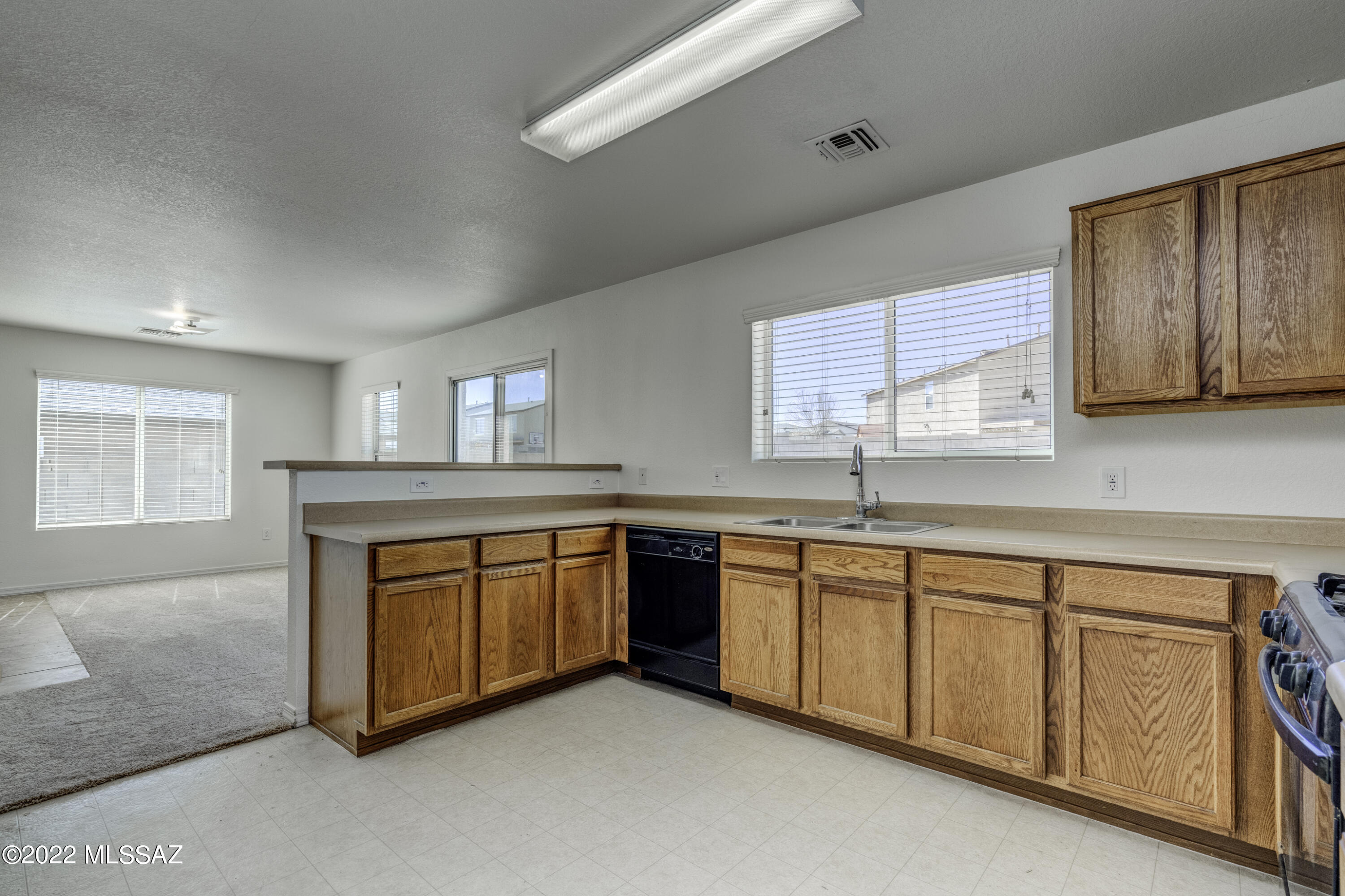 18574 S Camino De Las Quintas