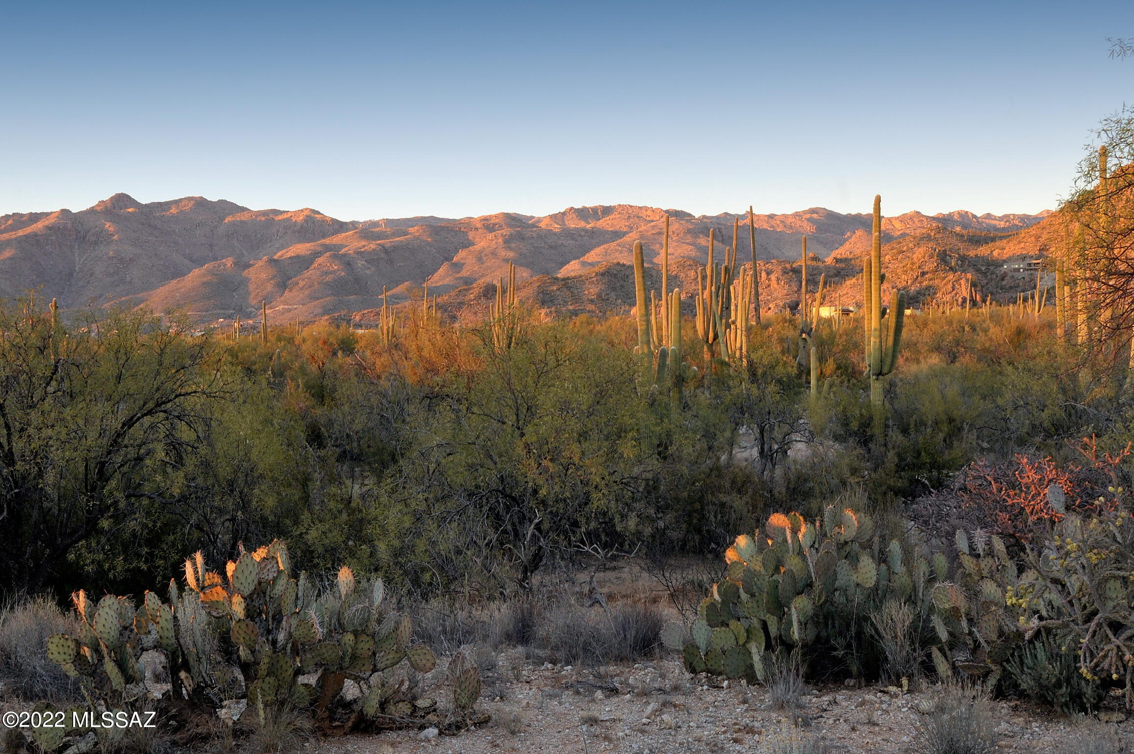 12827 E Nighthawk Ranch Place