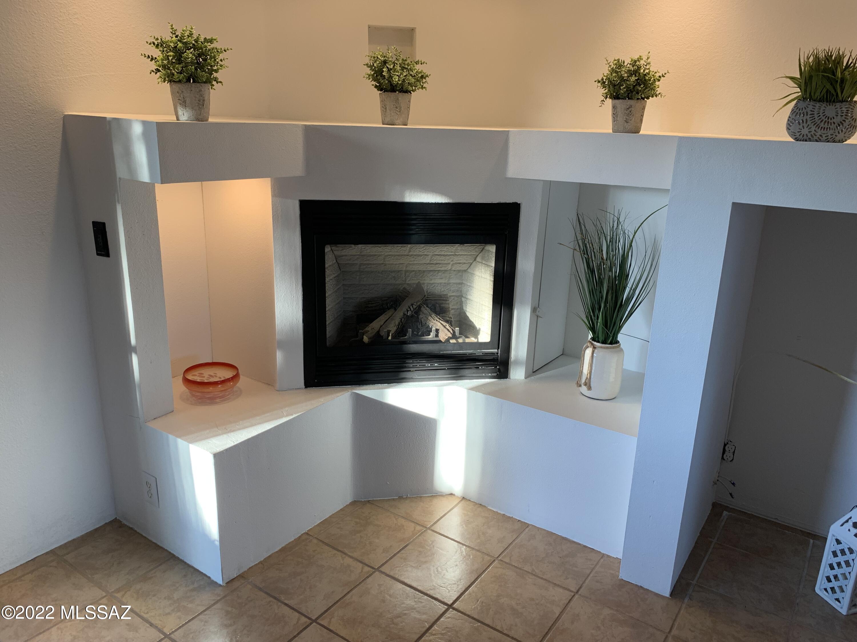 7313 E Manana Grande Place