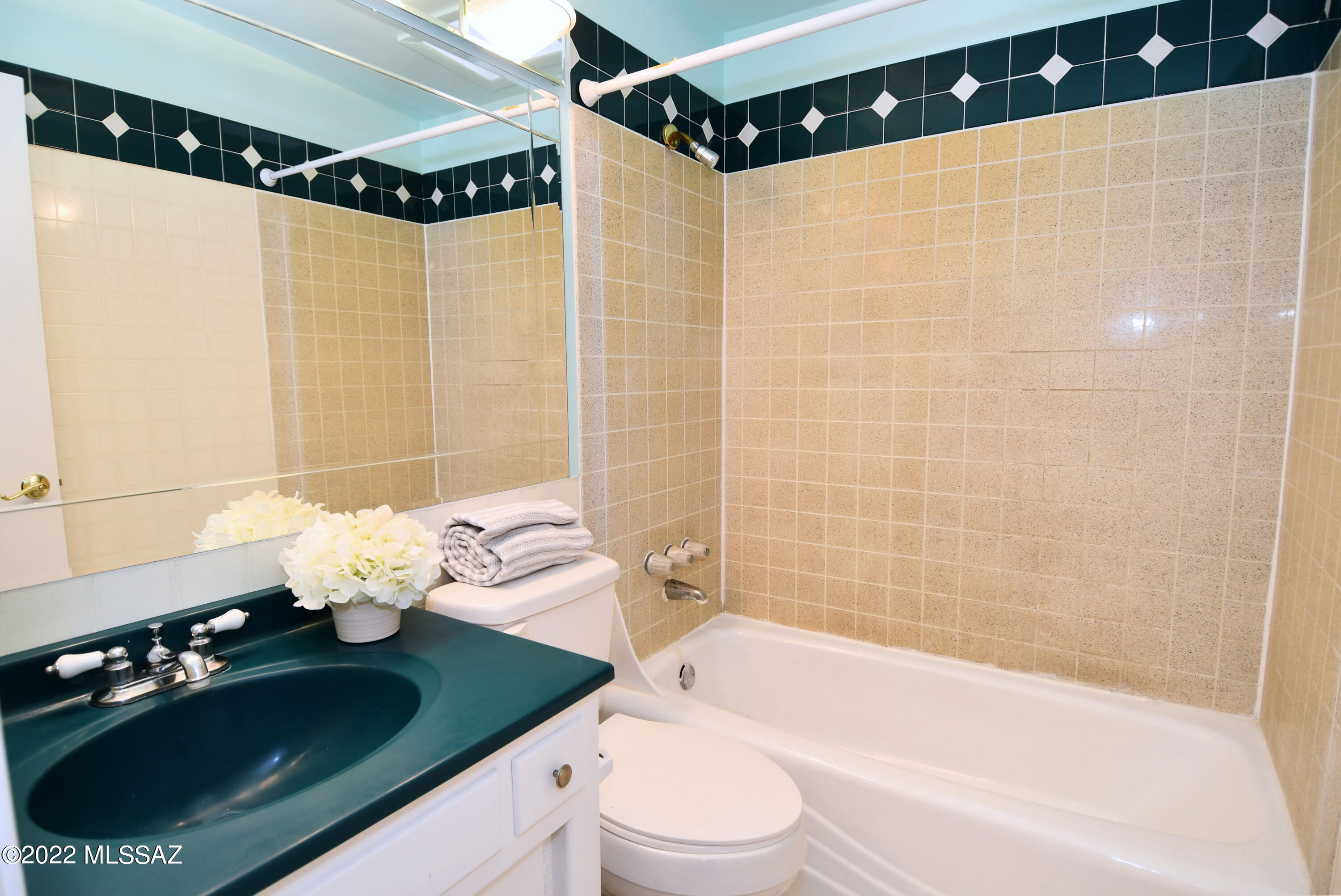 7313 E Manana Grande Place