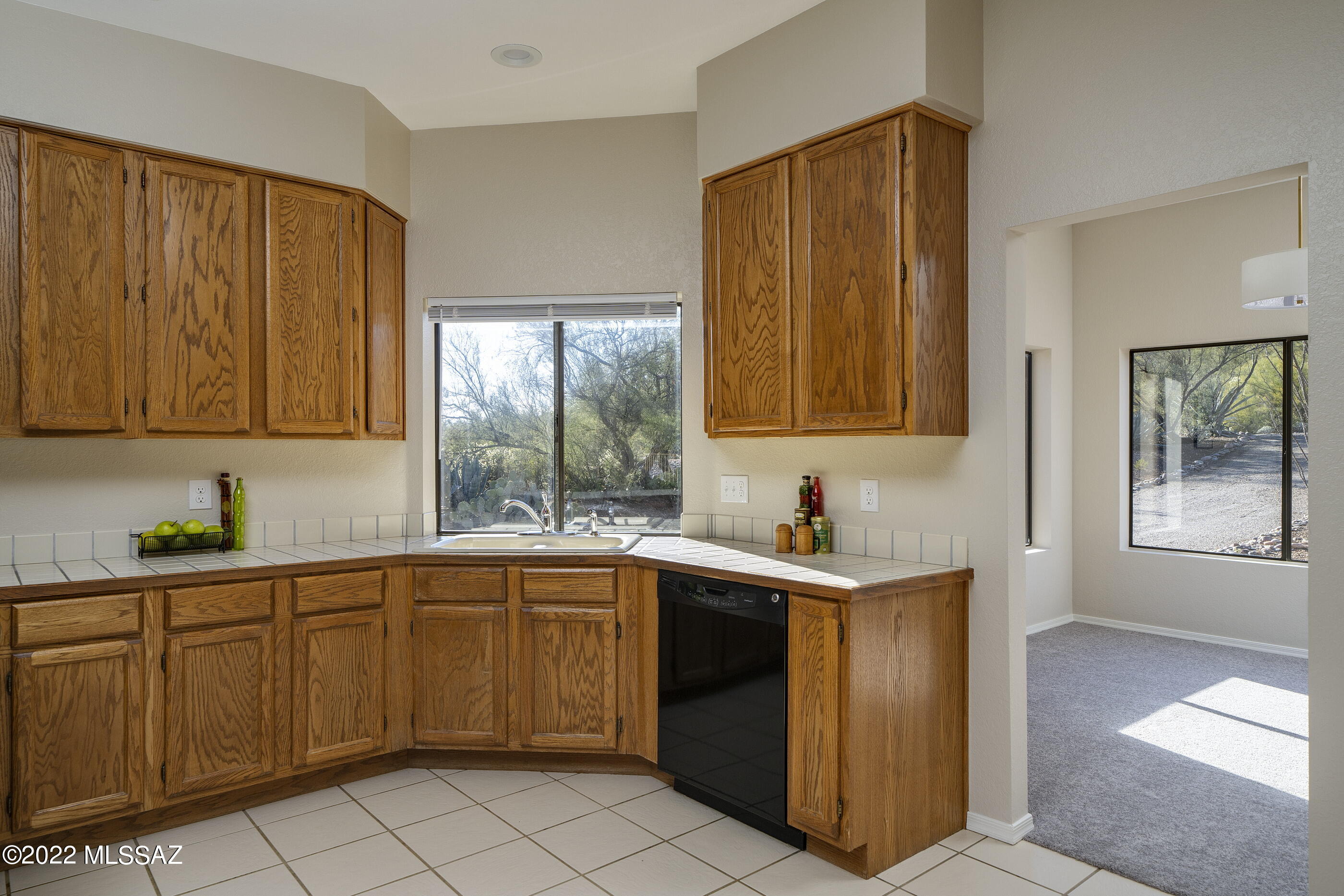 5350 N Apache Hills Trail
