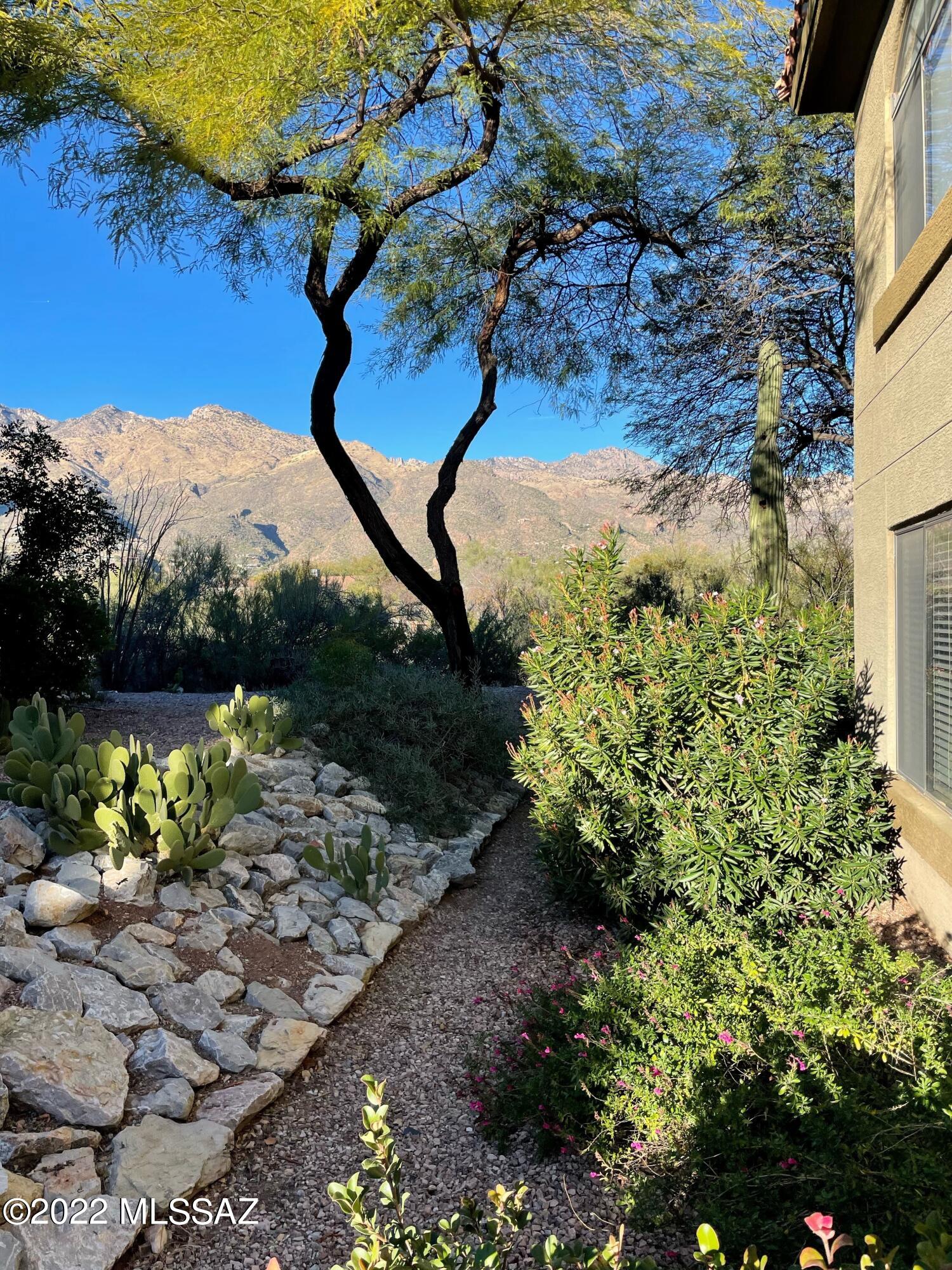 5751 N Kolb Road Unit: 11101
