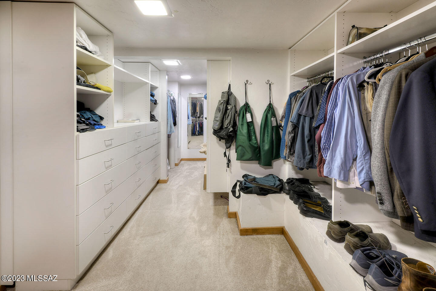 6630 E Placita Alhaja