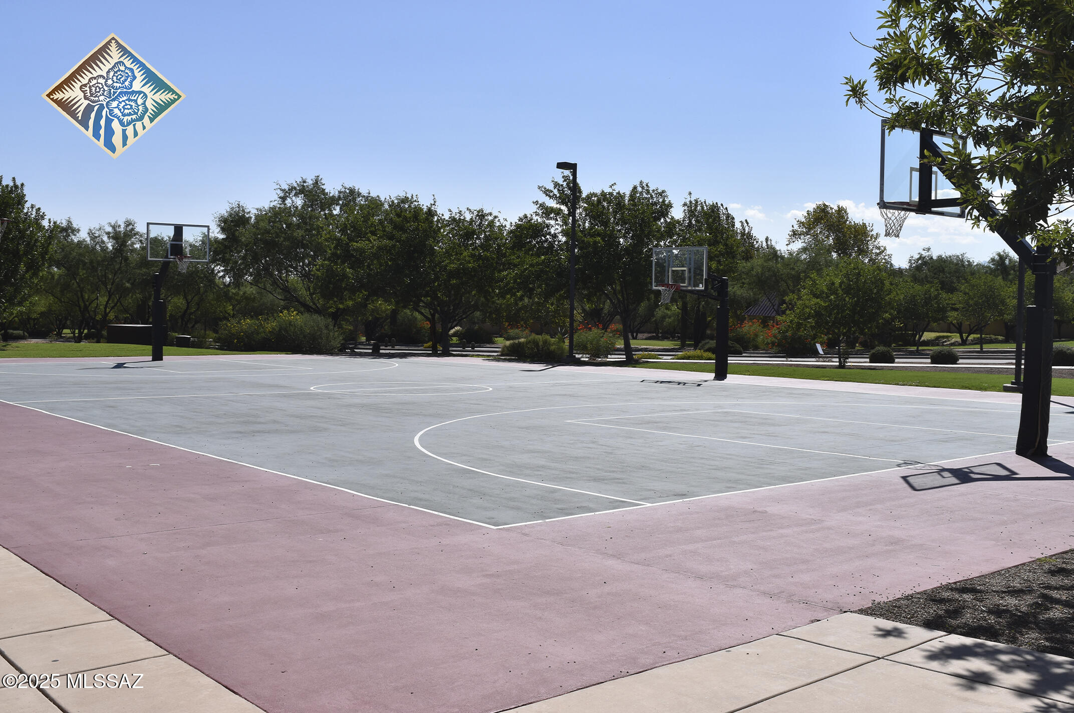 503 W Calle Sombra Linda