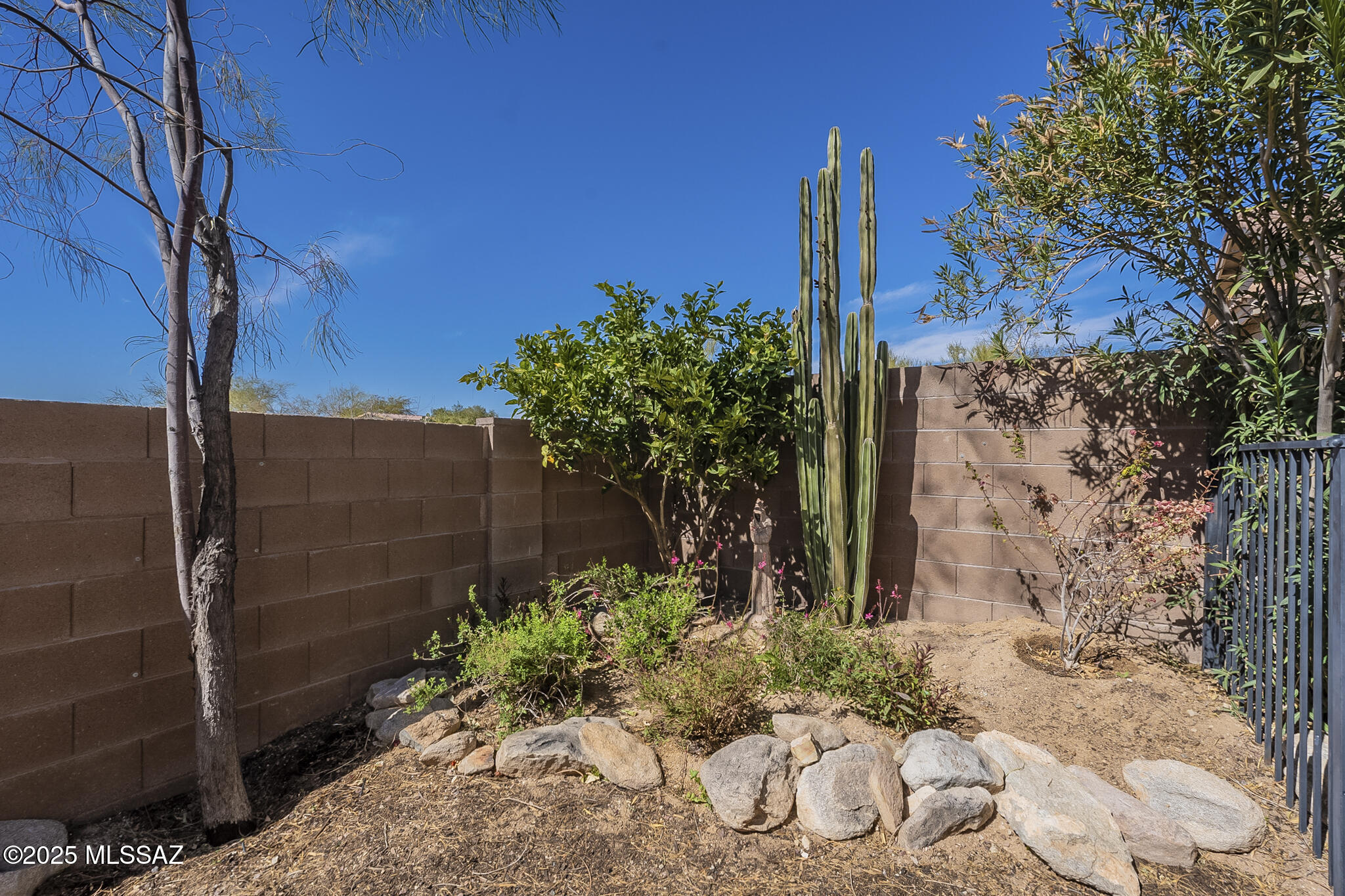 12847 N Suizo Mountains Road