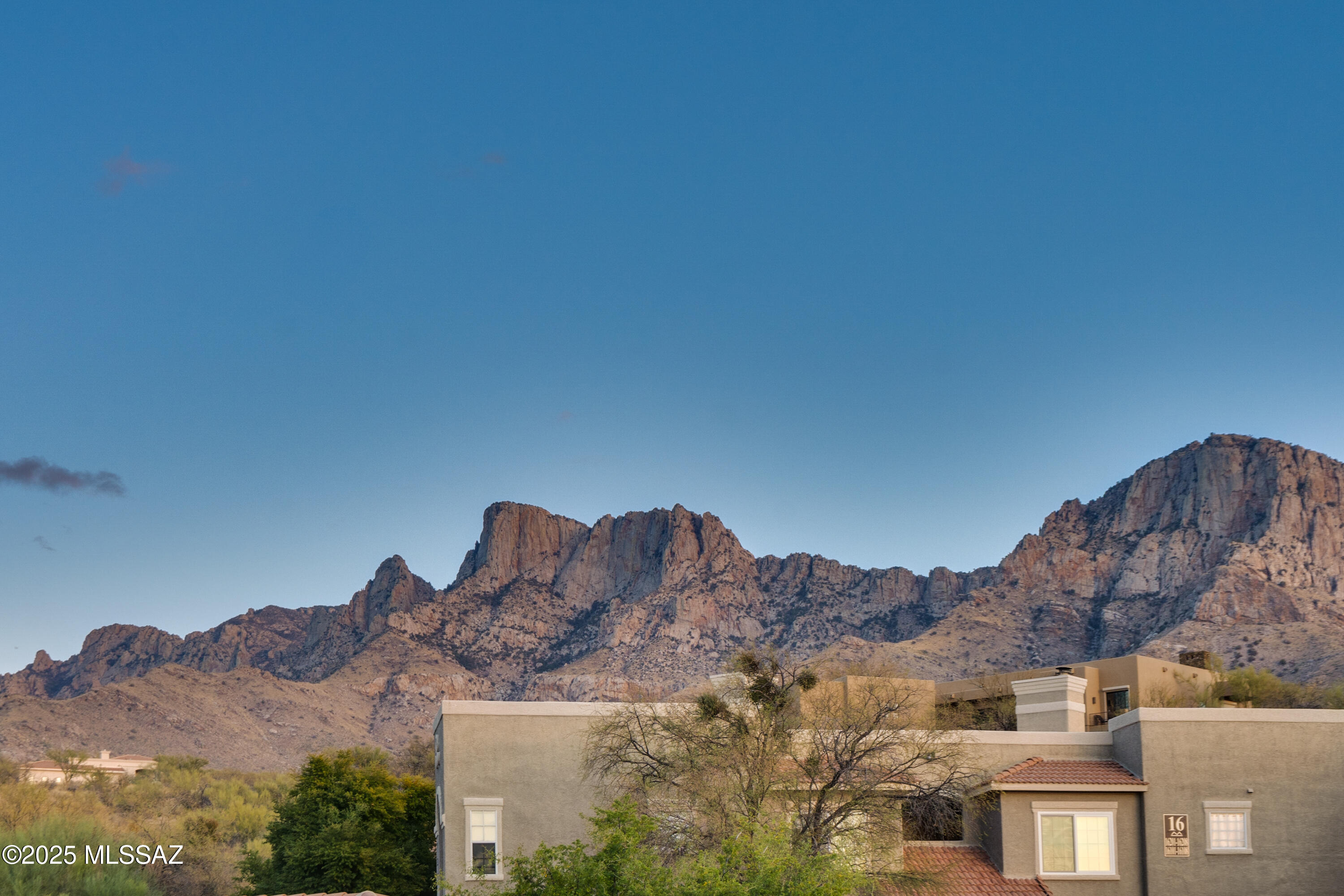 1500 E Pusch Wilderness Drive Unit: 4205