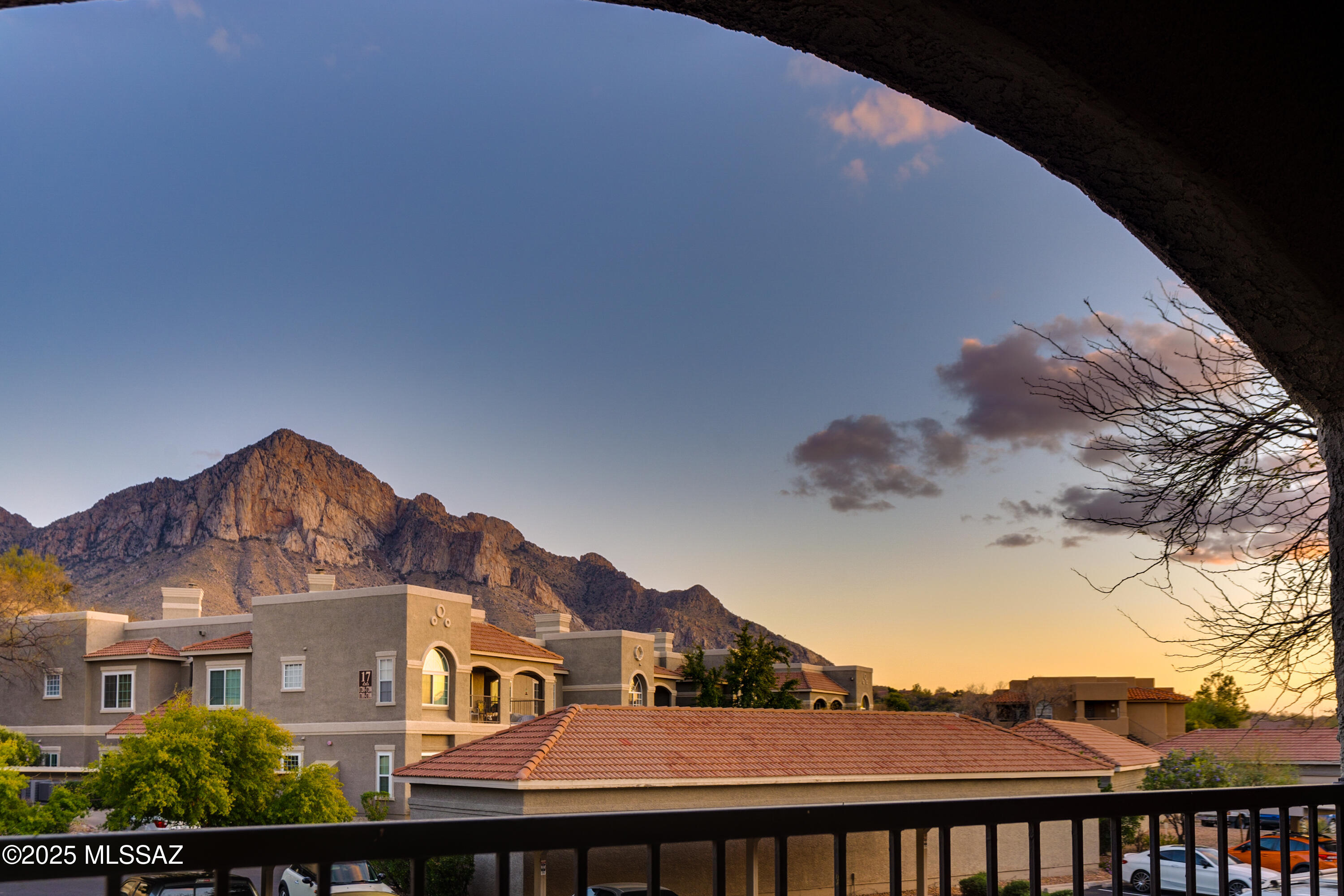 1500 E Pusch Wilderness Drive Unit: 4205