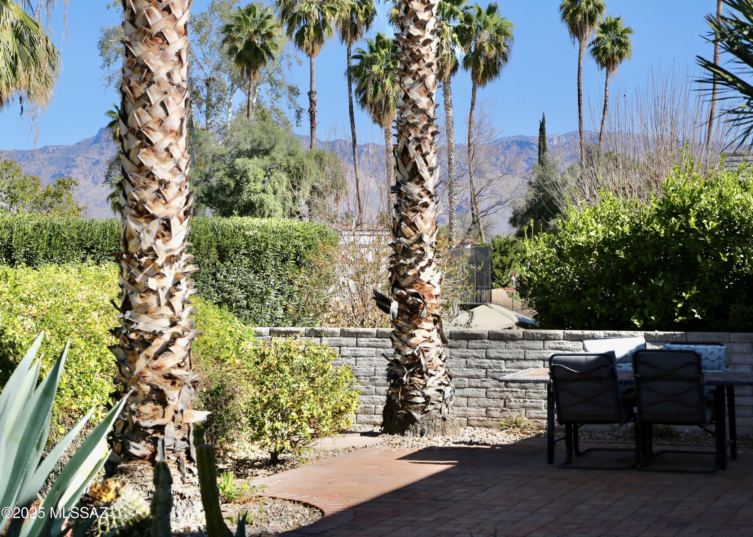 1263 N Via Ronda Oriente