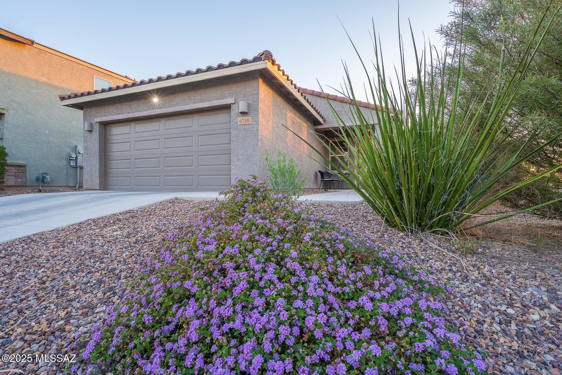 6750 E Via Rancho Rosario