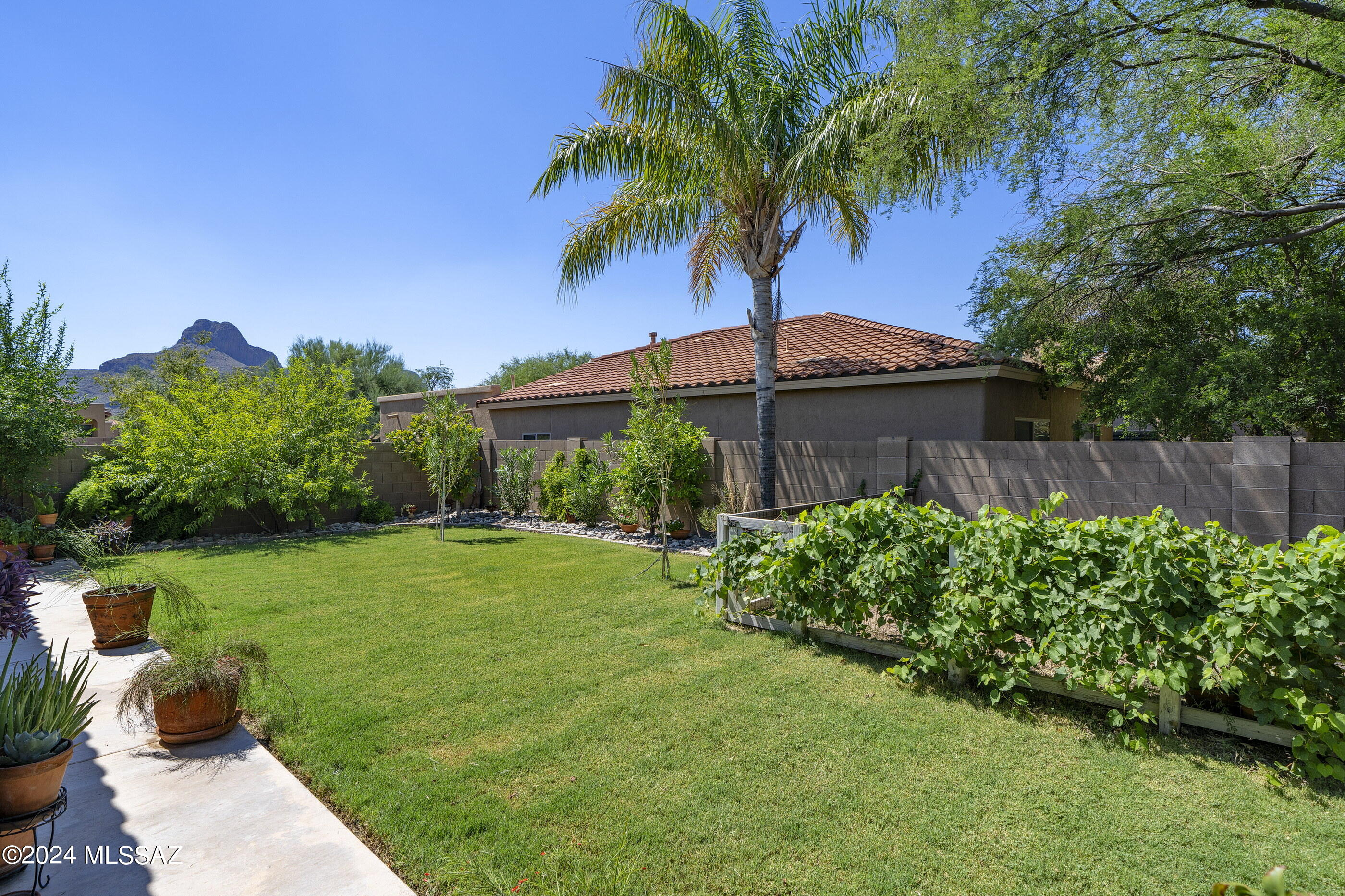 8479 N Sunny Rock Ridge Drive