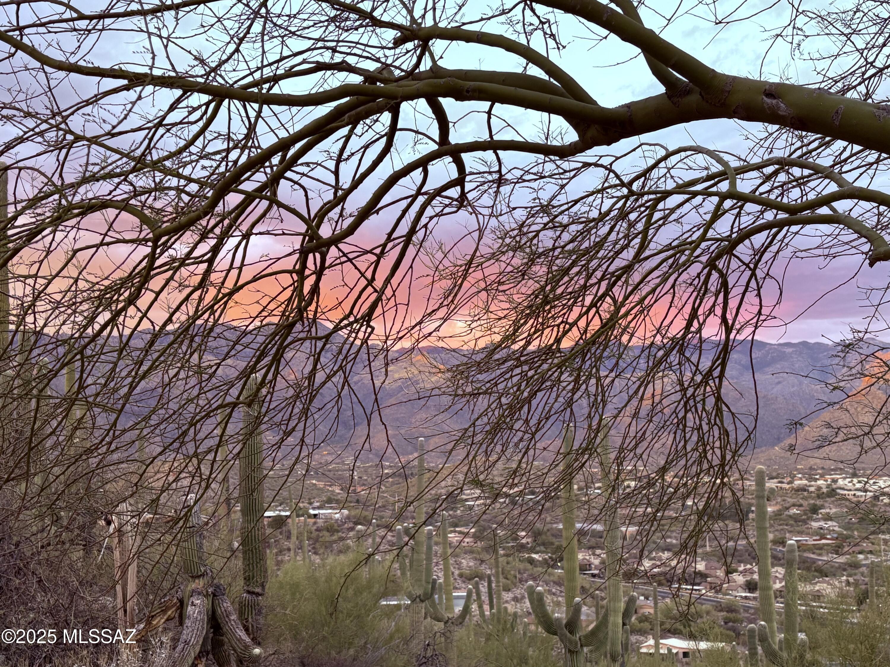 4460 N Trocha Alegre