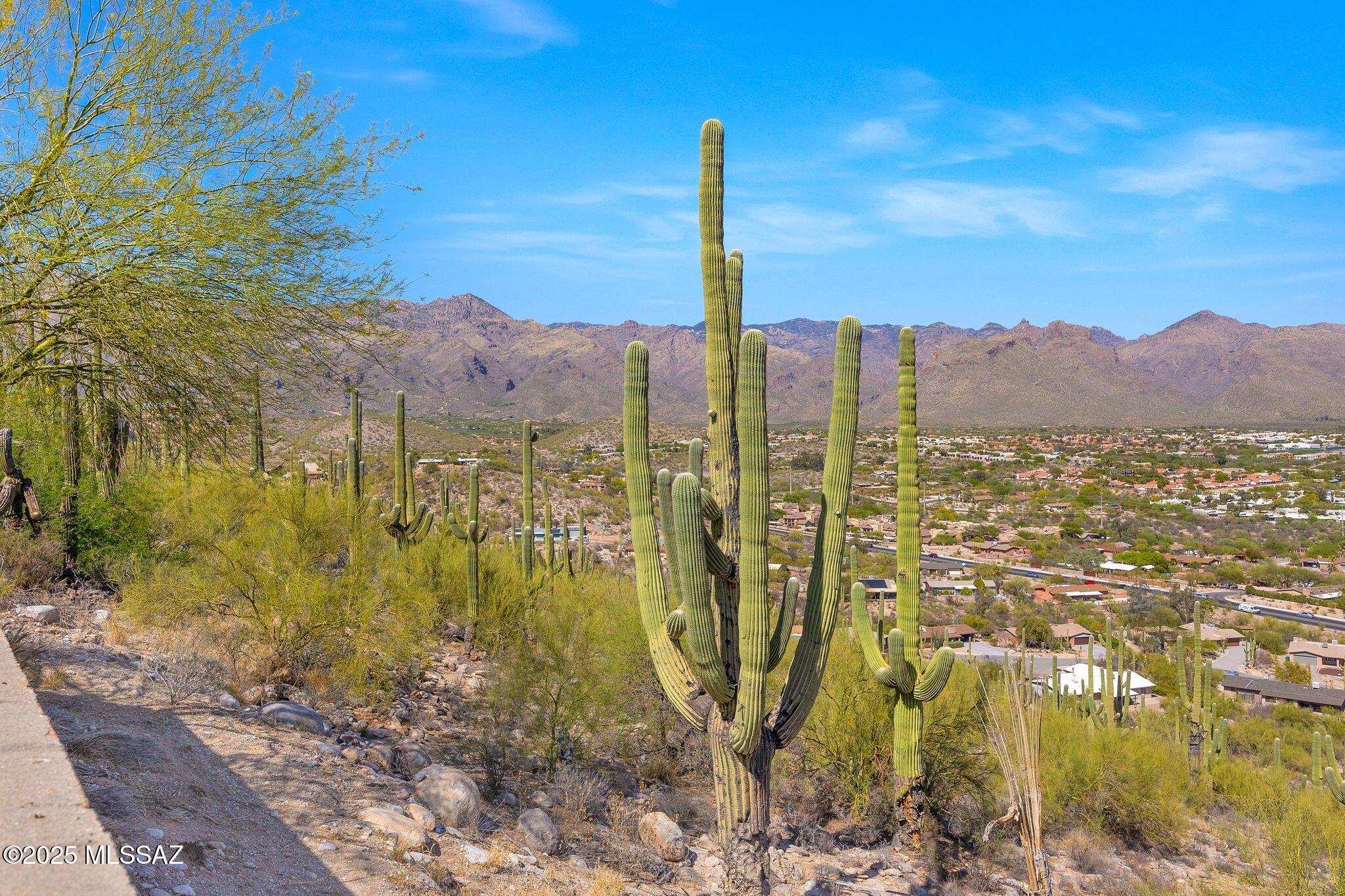 4460 N Trocha Alegre